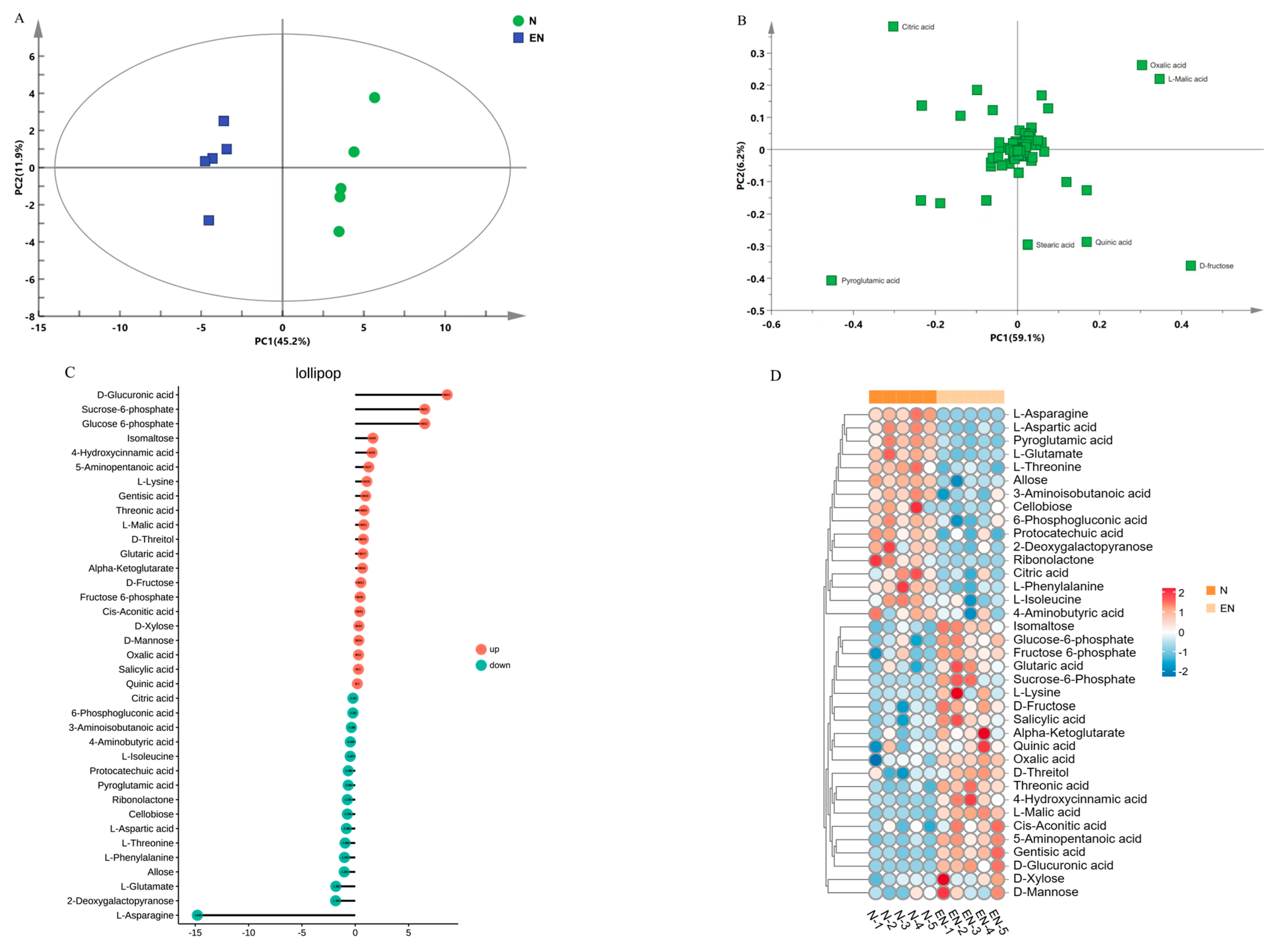 Plants 14 01524 g006