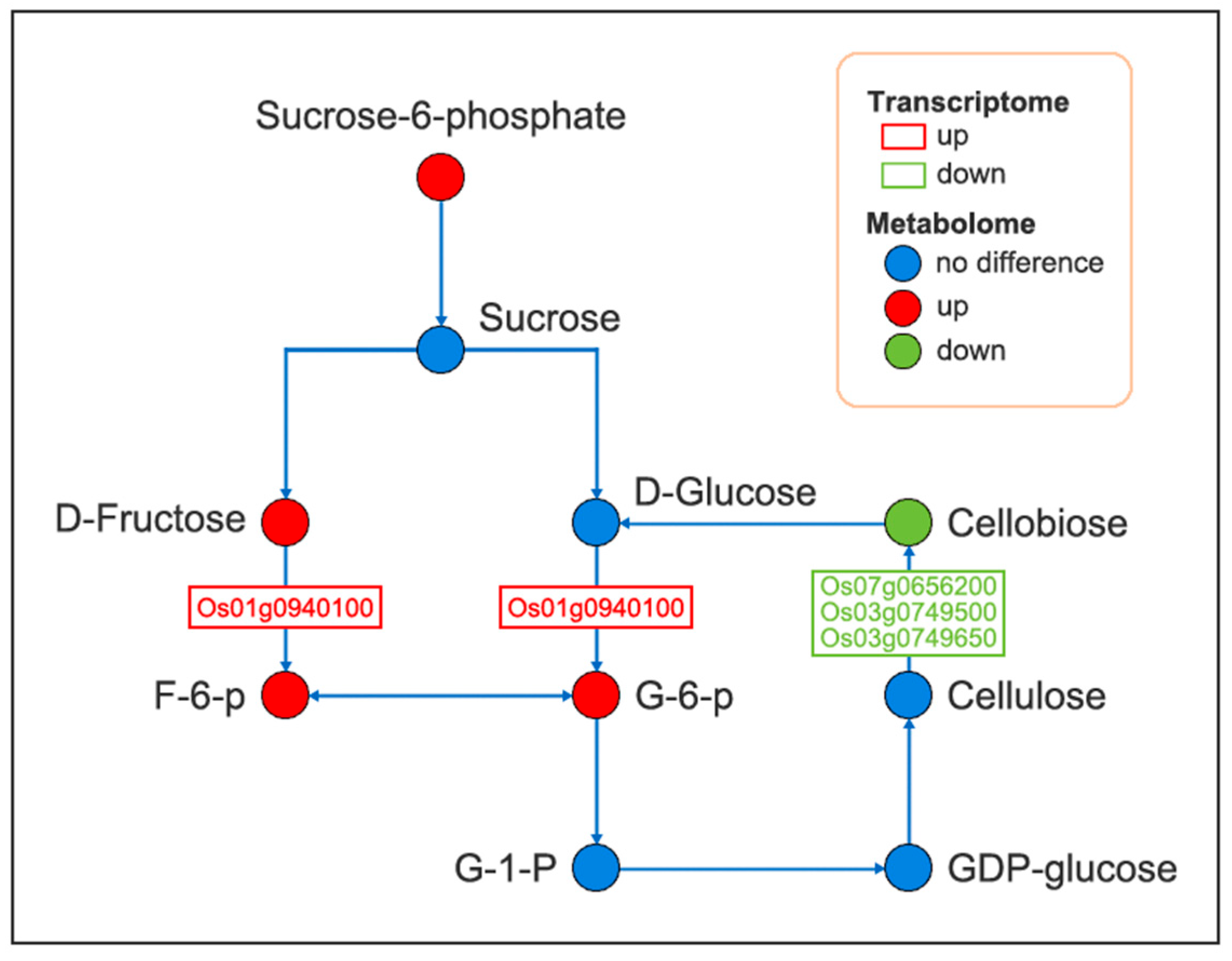Plants 14 01524 g009