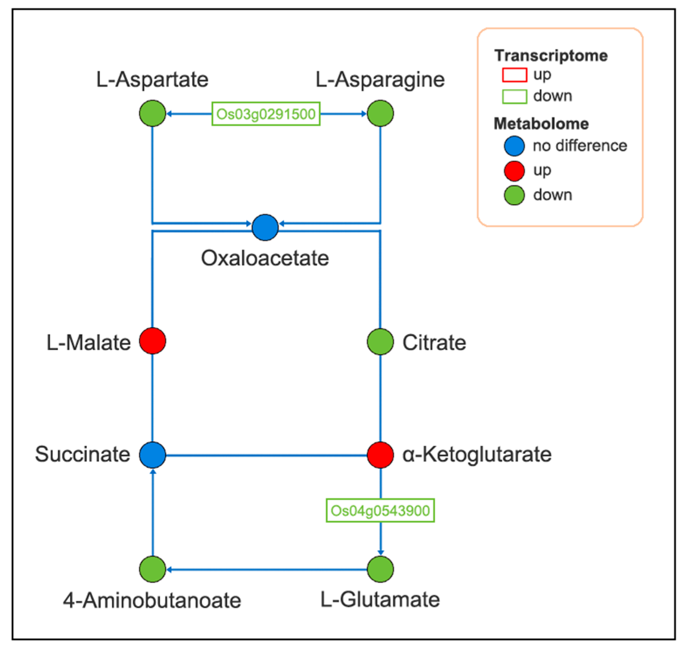 Plants 14 01524 g010