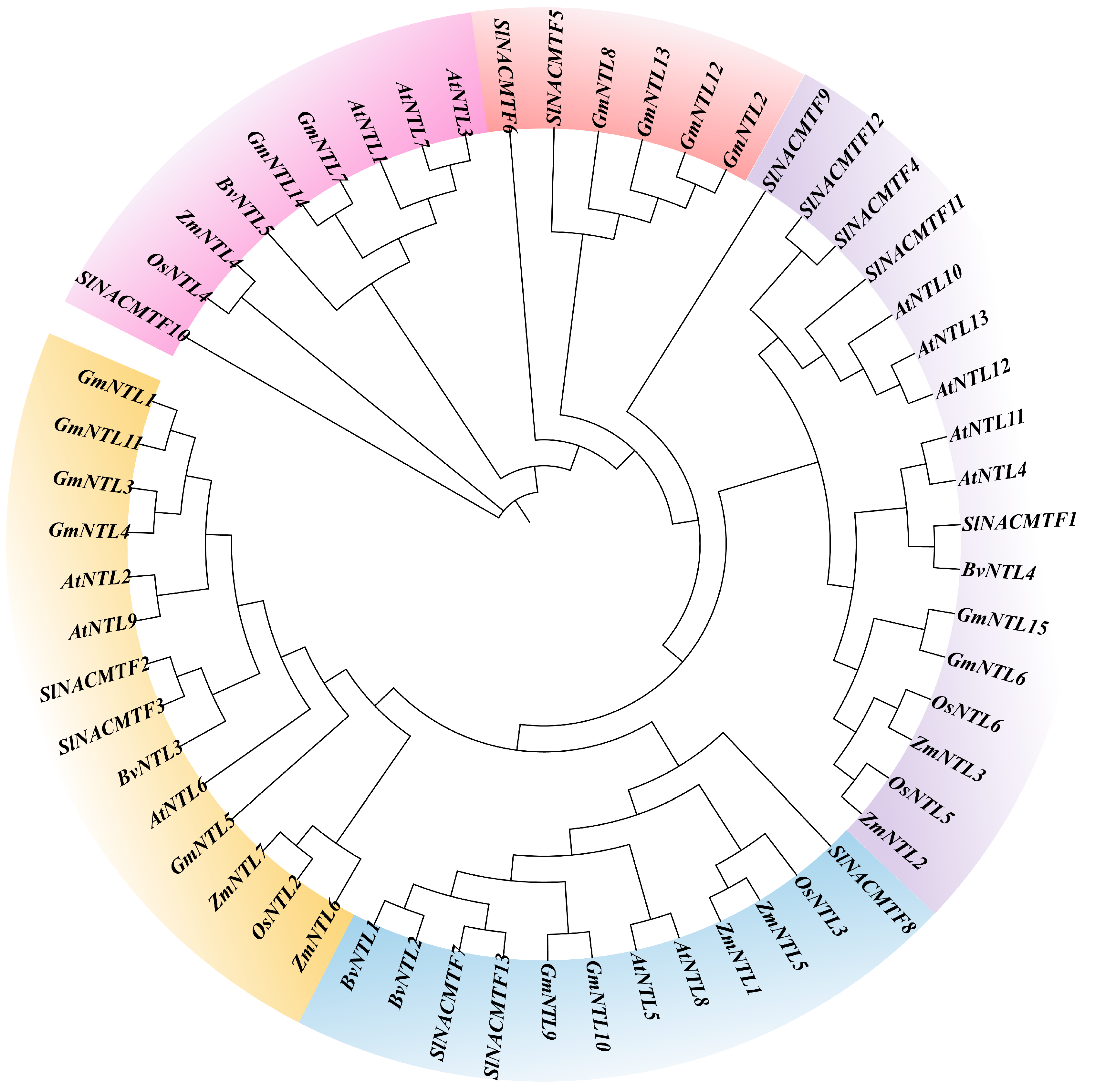 Plants 14 01528 g005