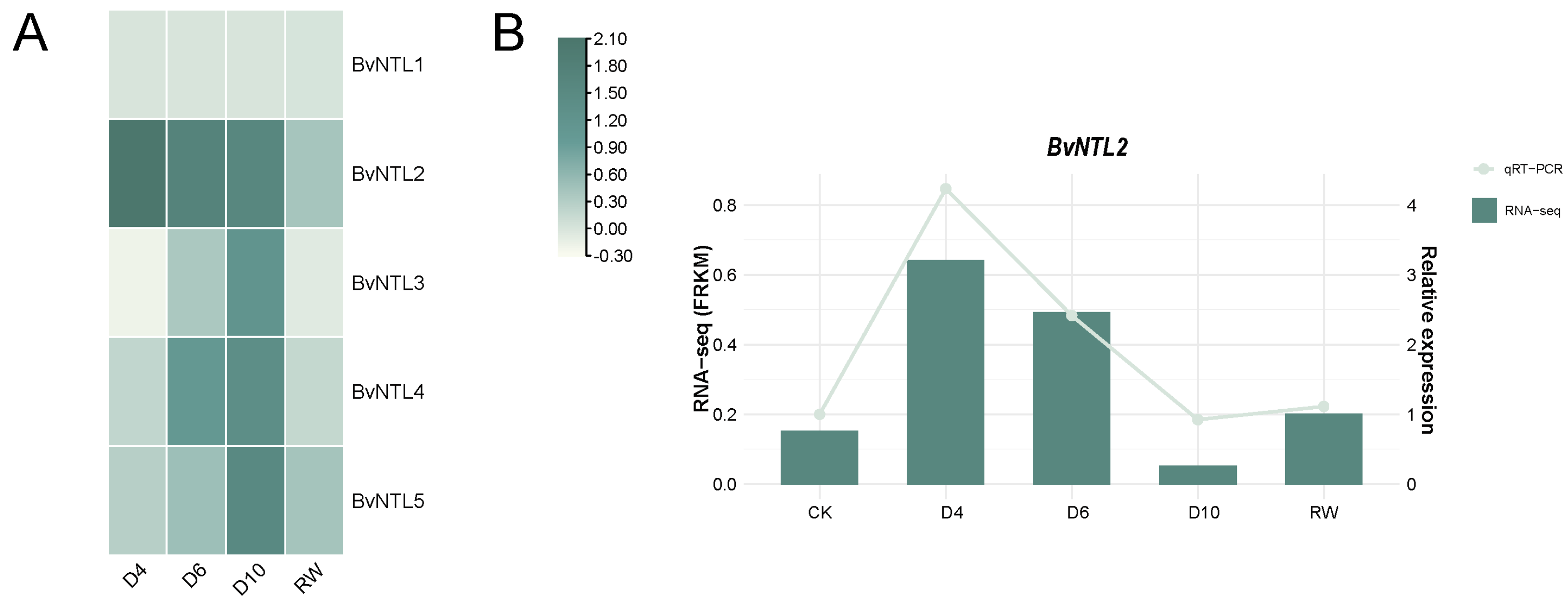 Plants 14 01528 g006