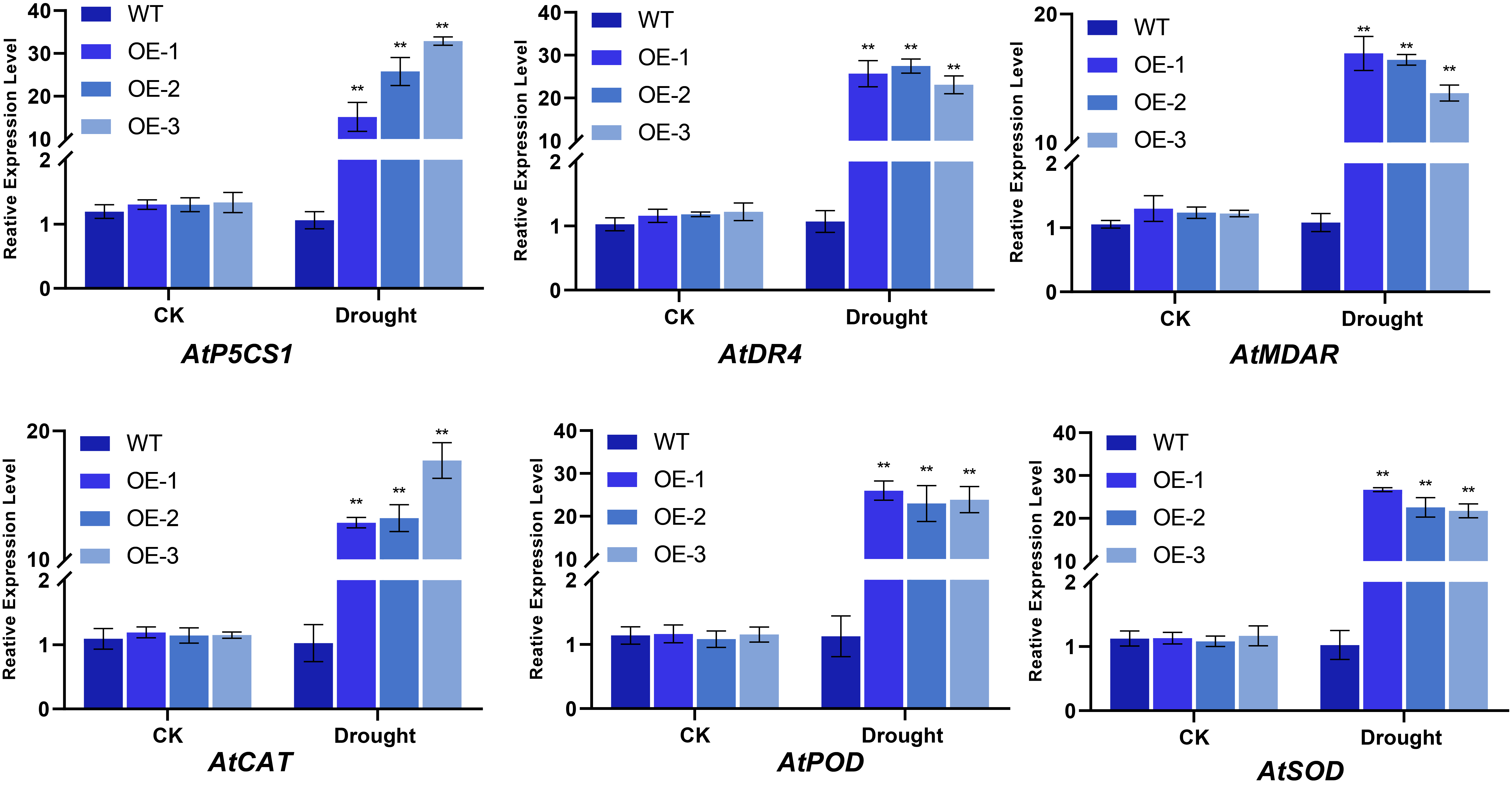 Plants 14 01528 g011