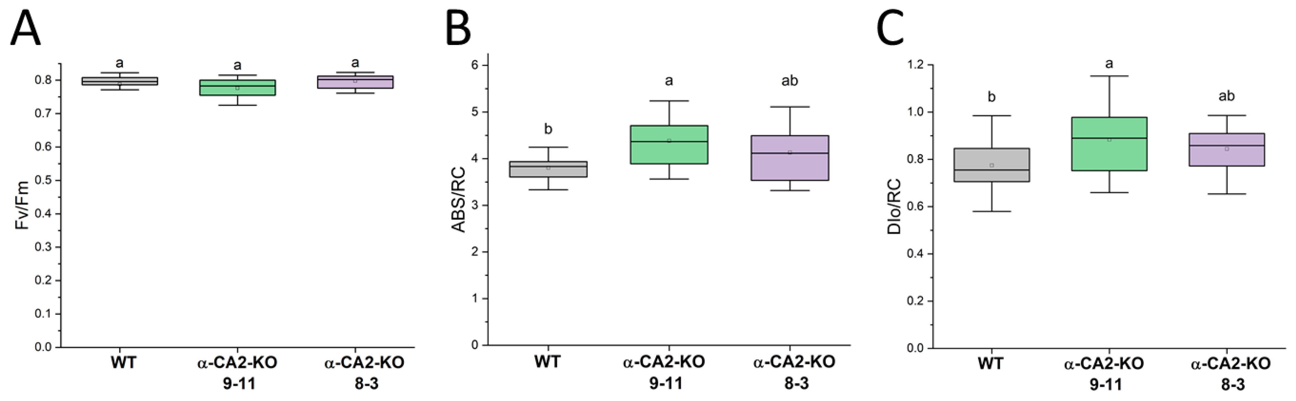 Plants 14 01529 g001