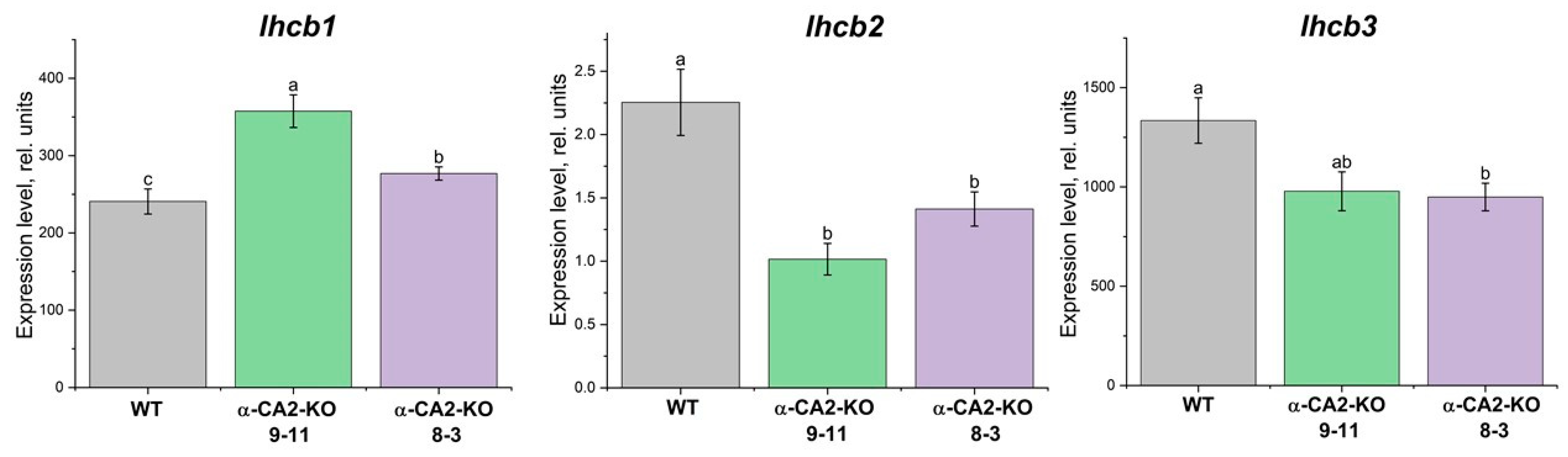 Plants 14 01529 g003