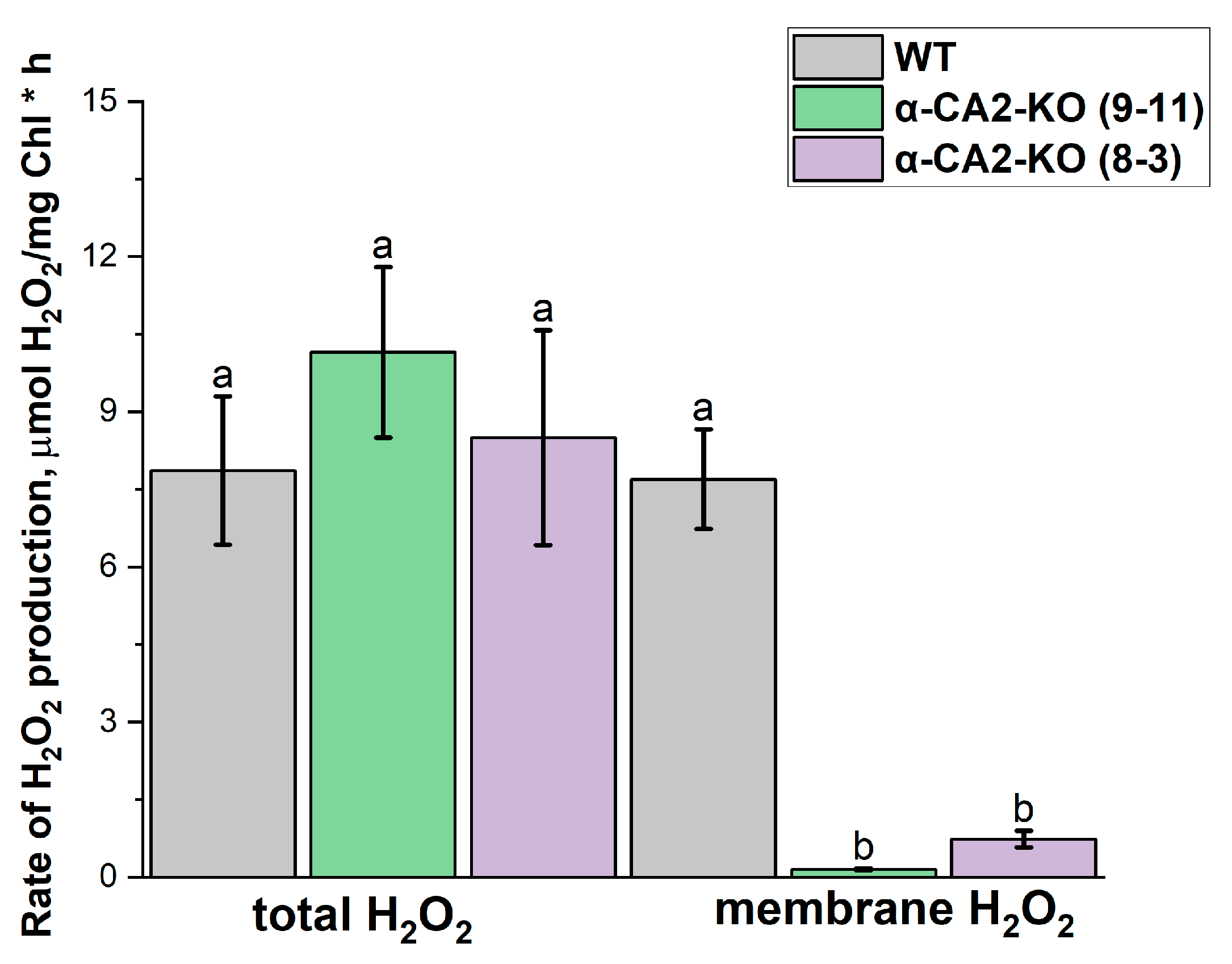 Plants 14 01529 g005