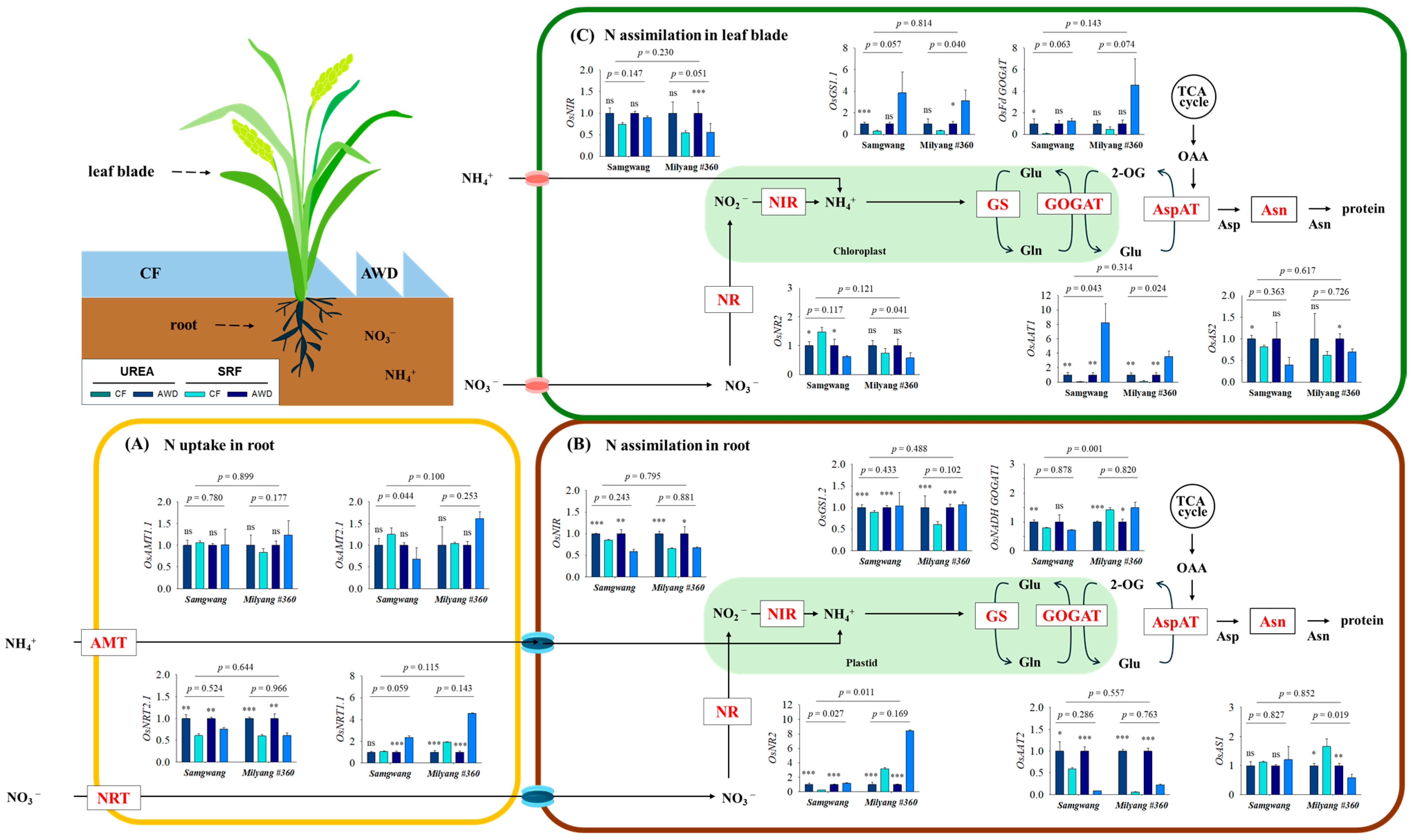 Plants 14 01530 g003