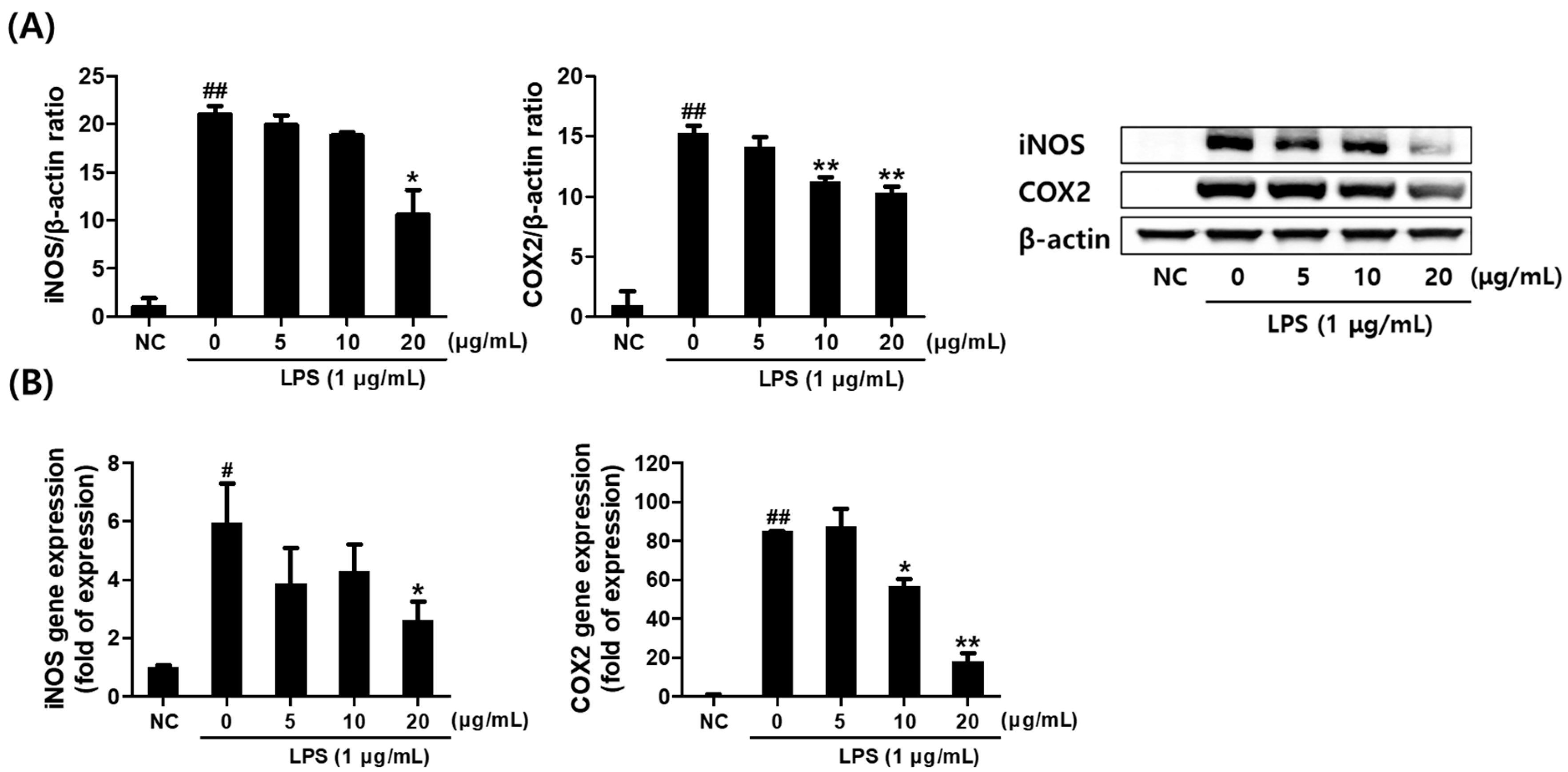 Plants 14 01535 g002 Plants 14 01535 g002