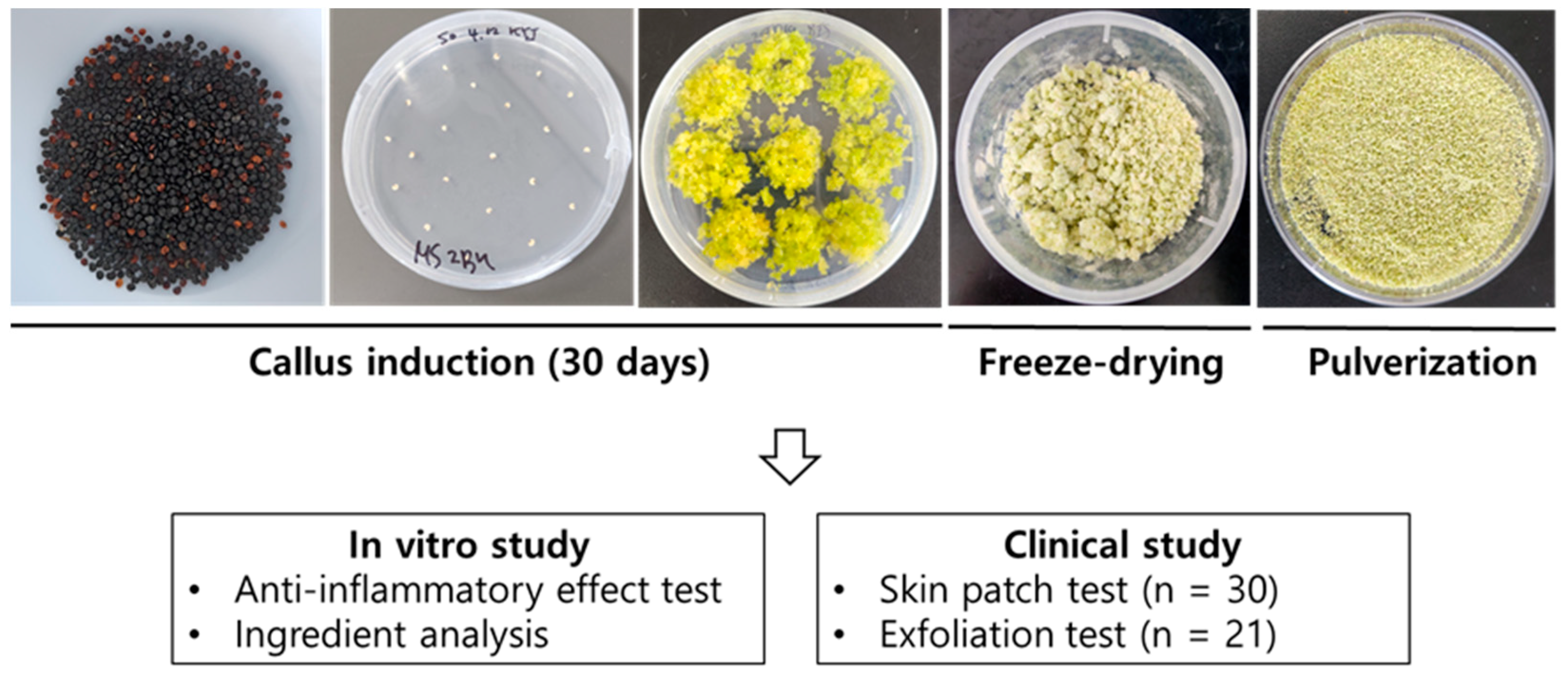 Plants 14 01535 g008 Plants 14 01535 g008