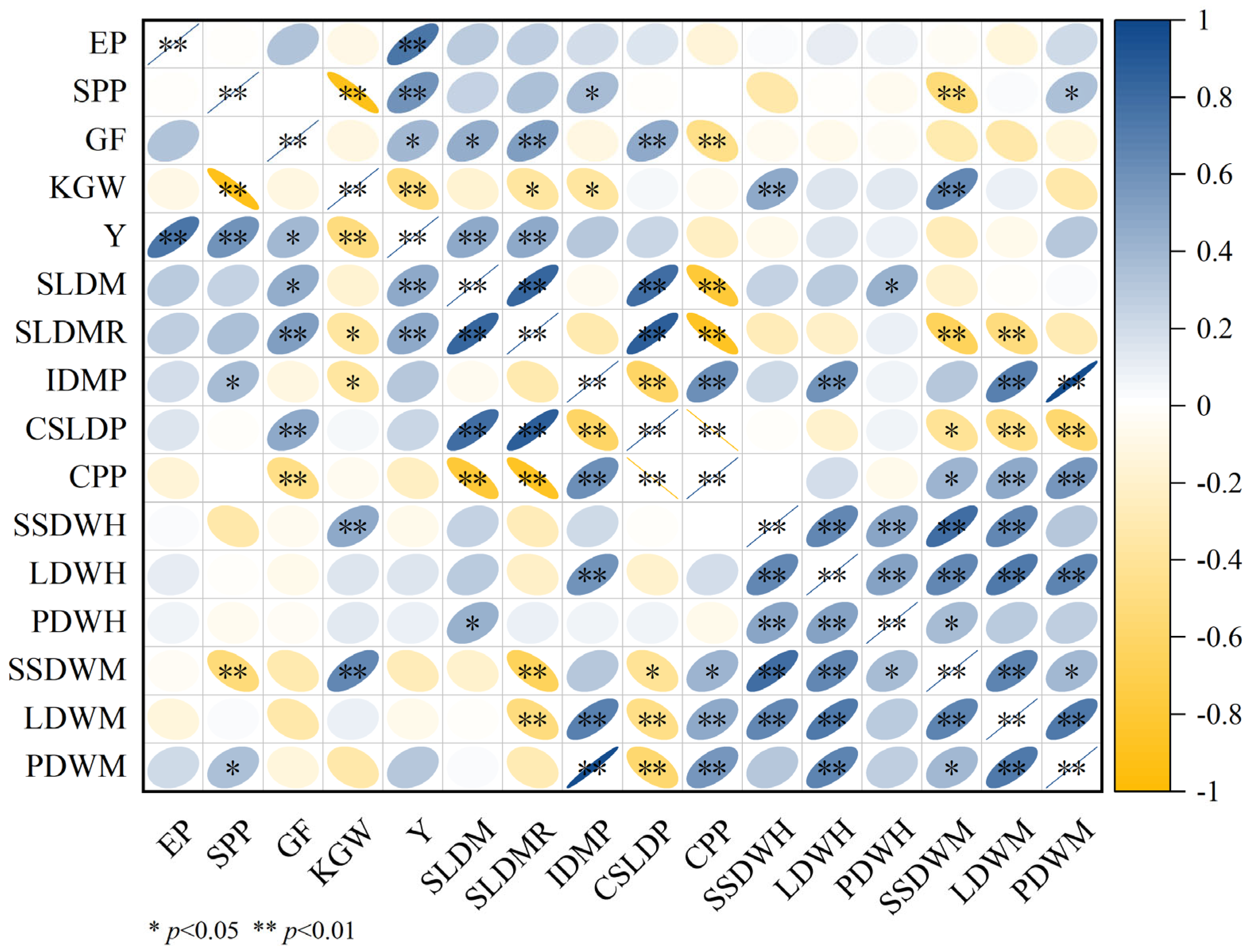 Plants 14 01536 g004
