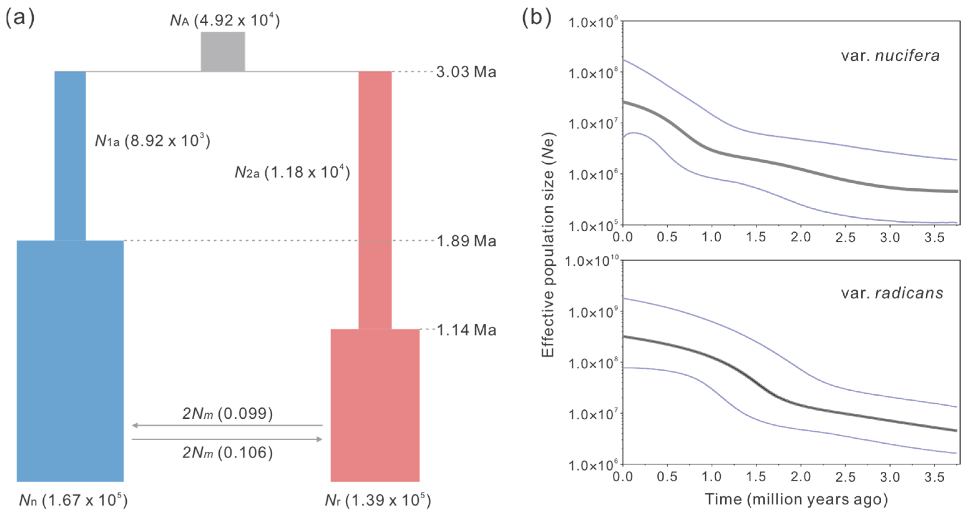 Plants 14 01537 g003