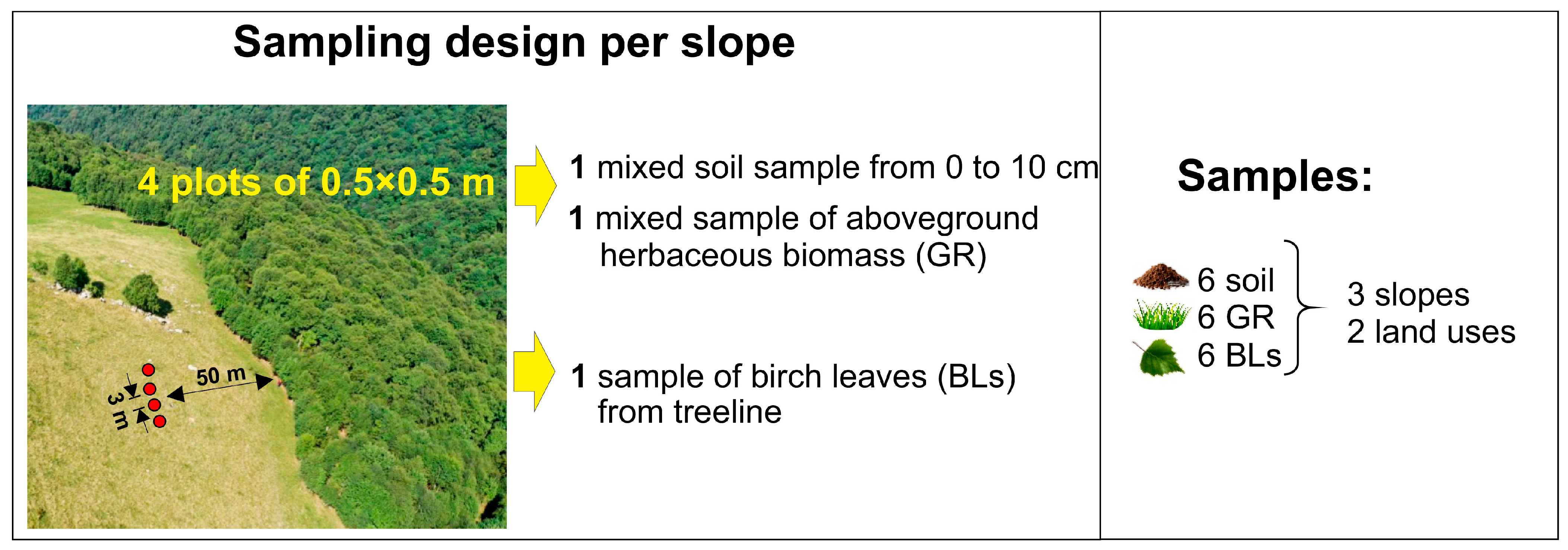Plants 14 01541 g006