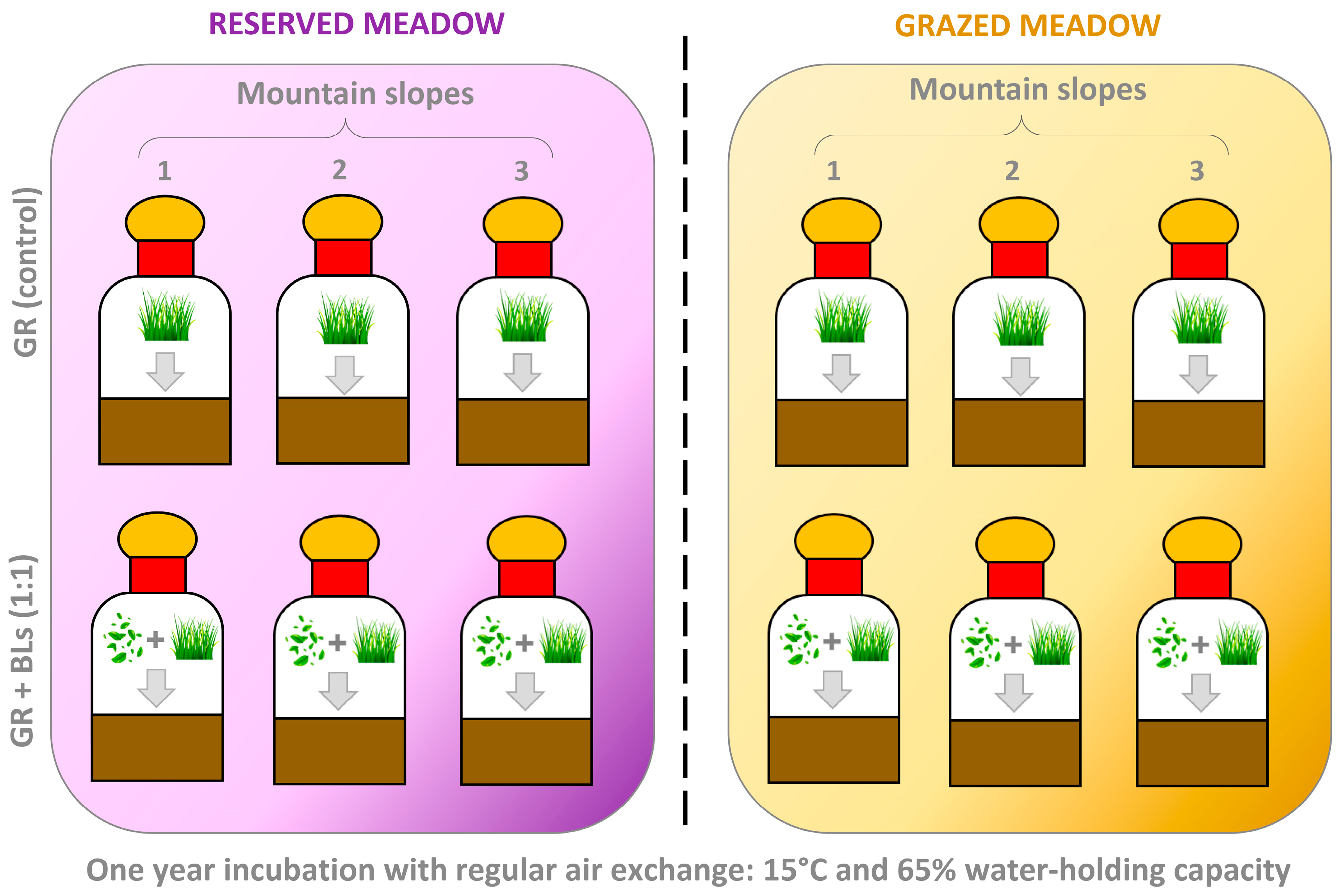 Plants 14 01541 g007