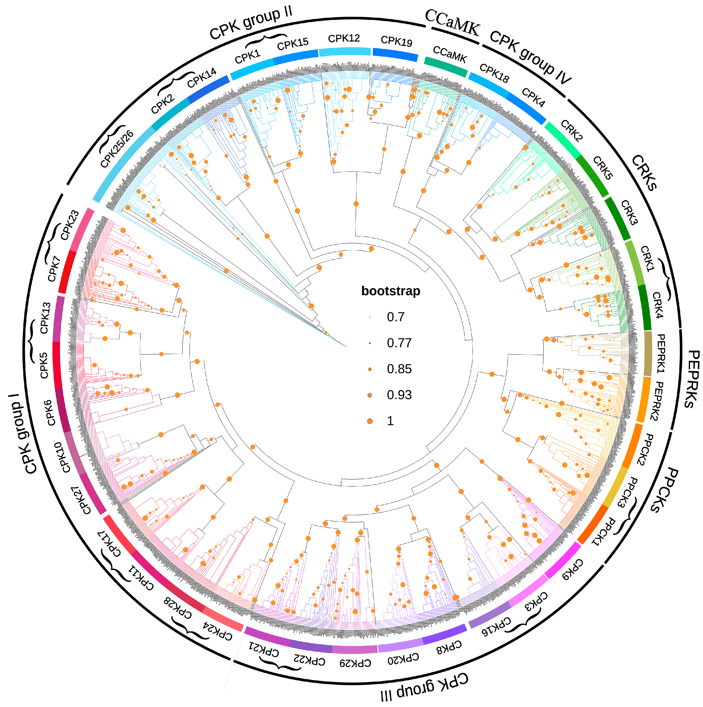 Plants 14 01542 g002