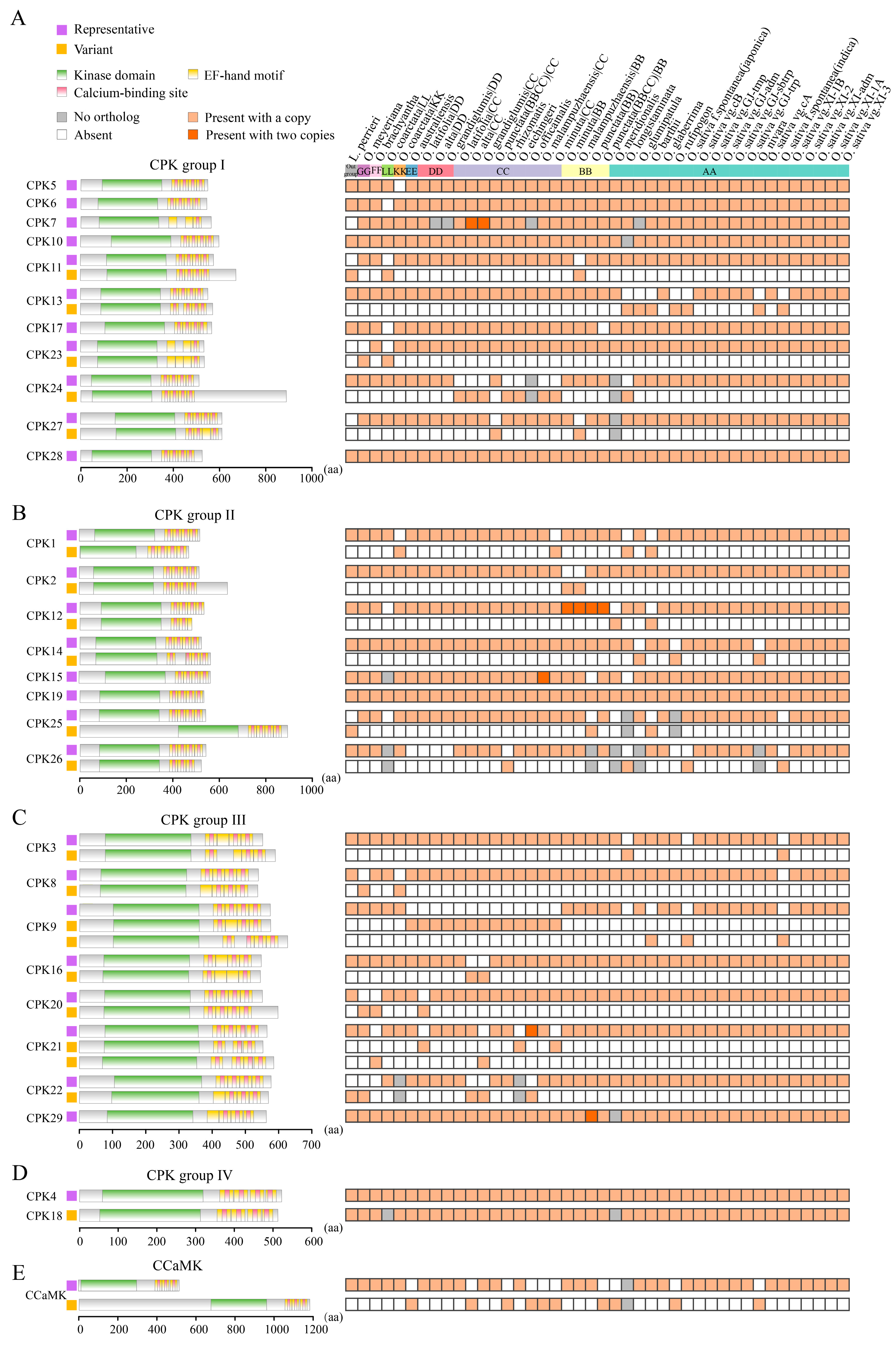 Plants 14 01542 g004