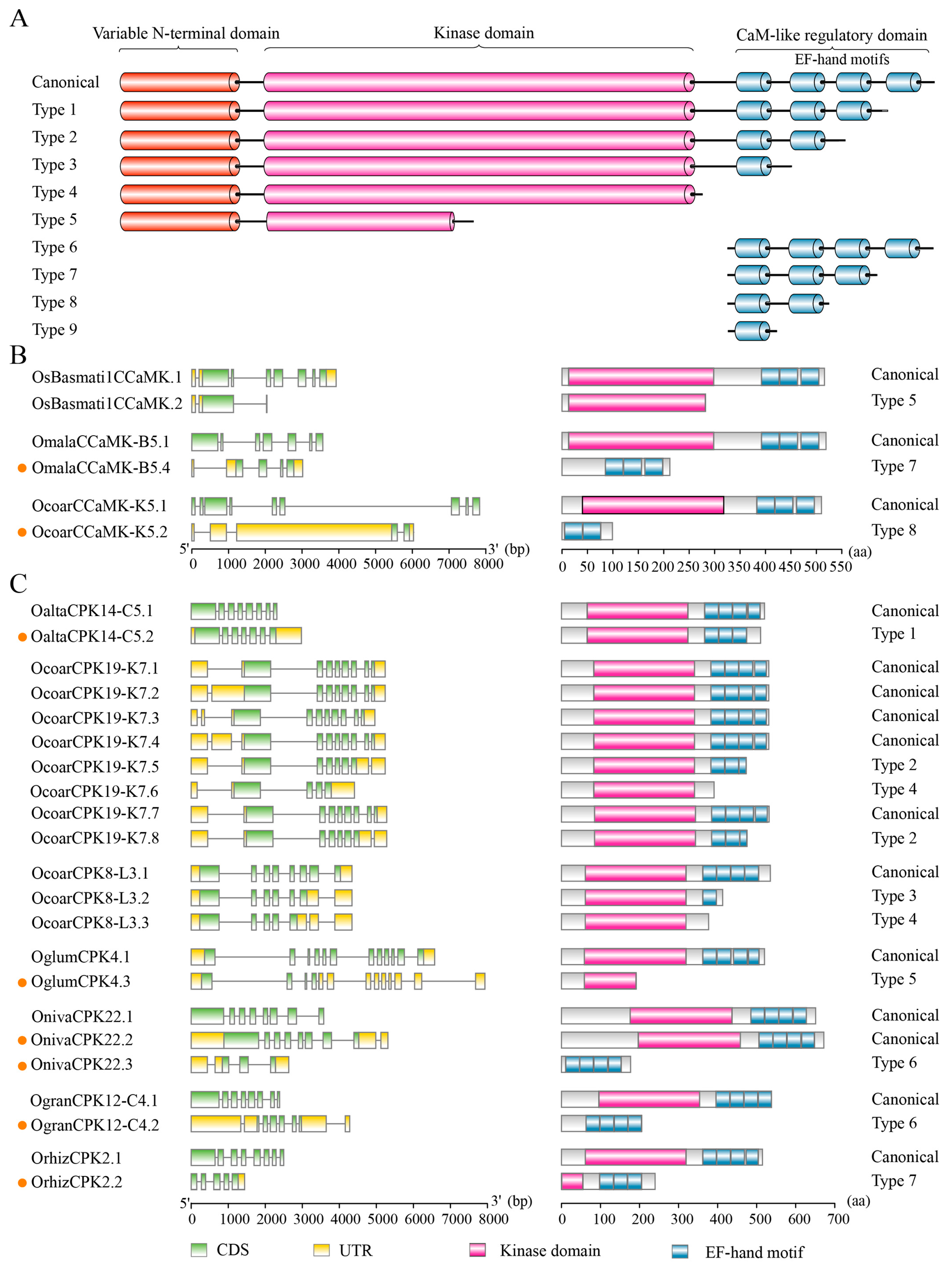 Plants 14 01542 g005