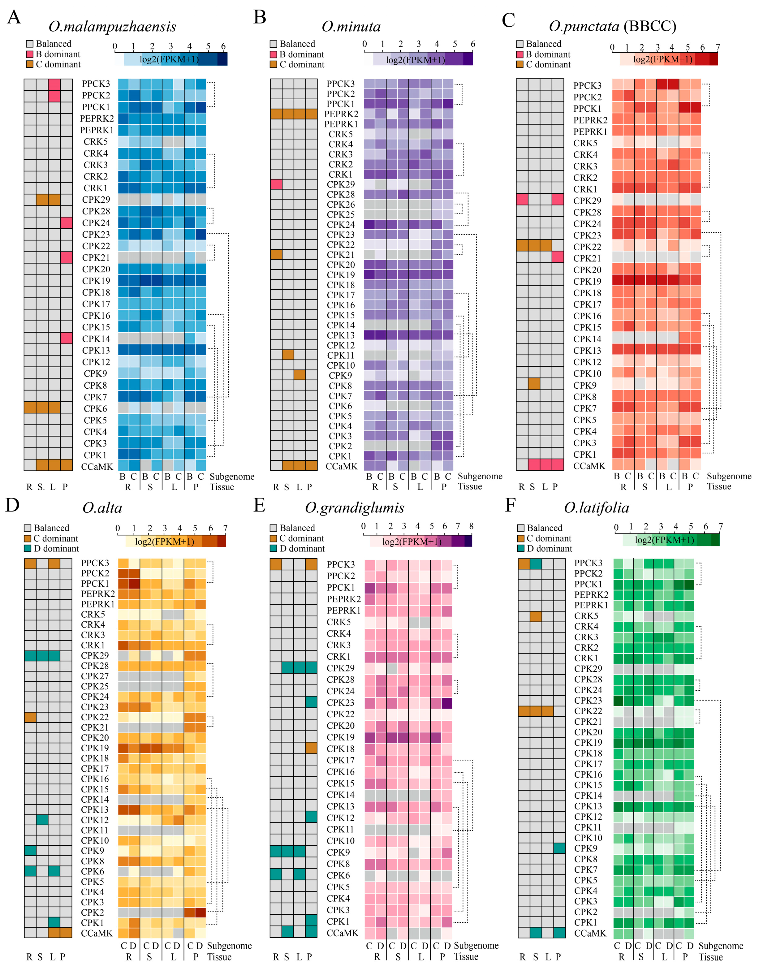 Plants 14 01542 g006