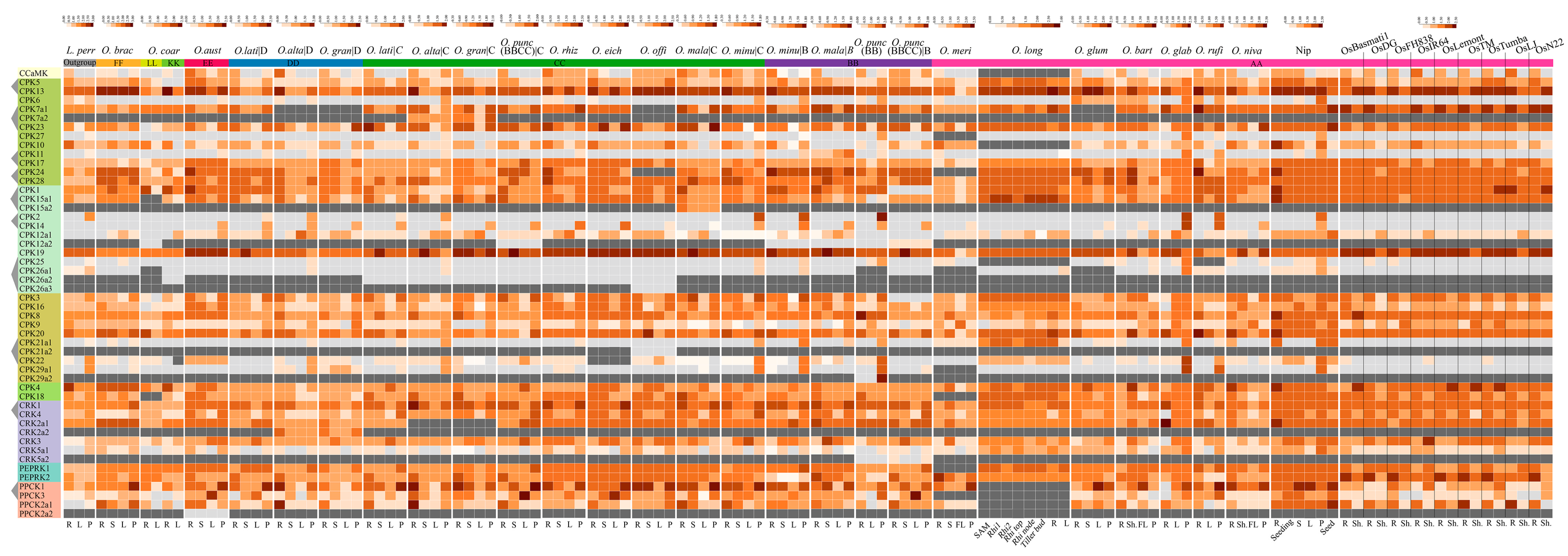 Plants 14 01542 g007