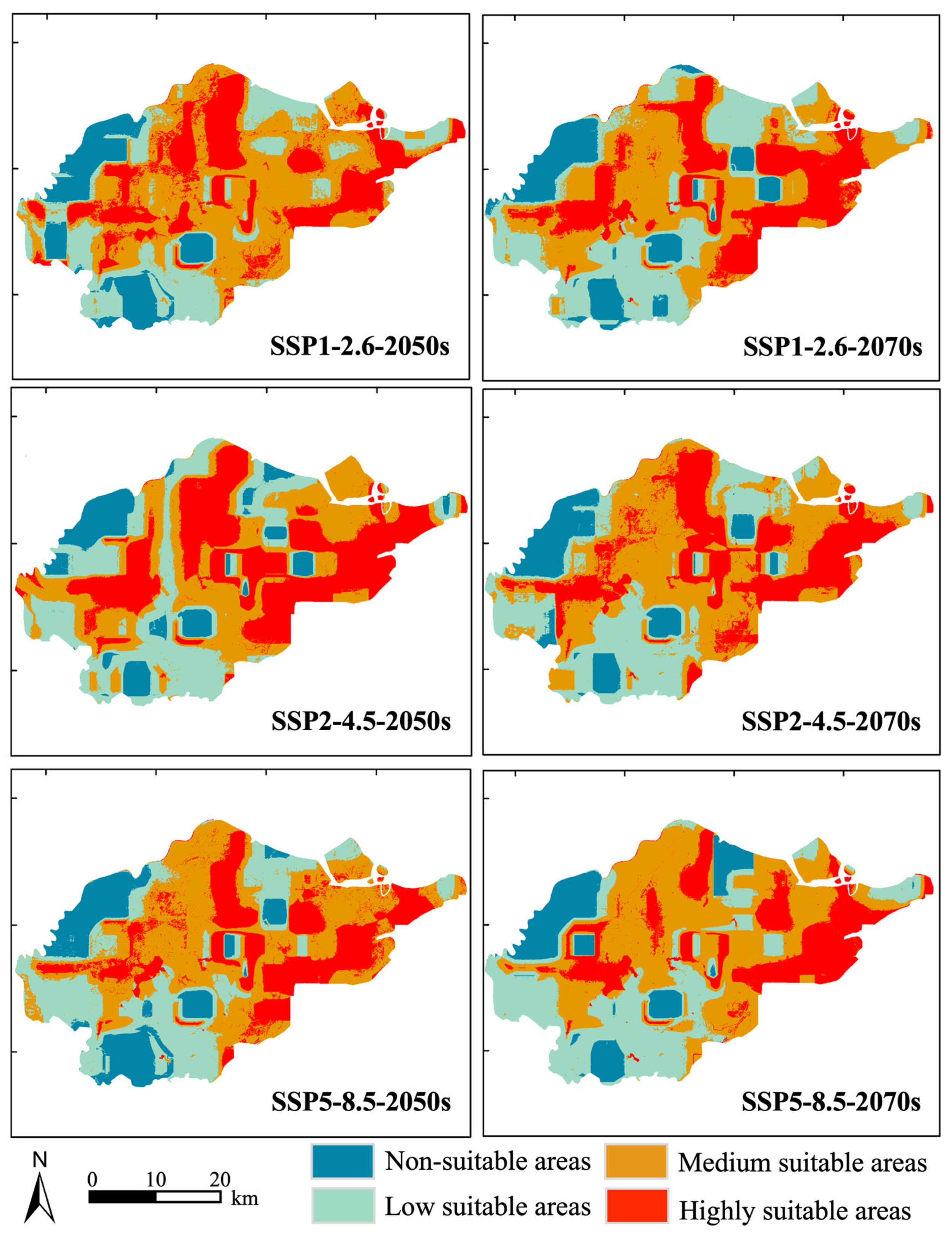Plants 14 01546 g004