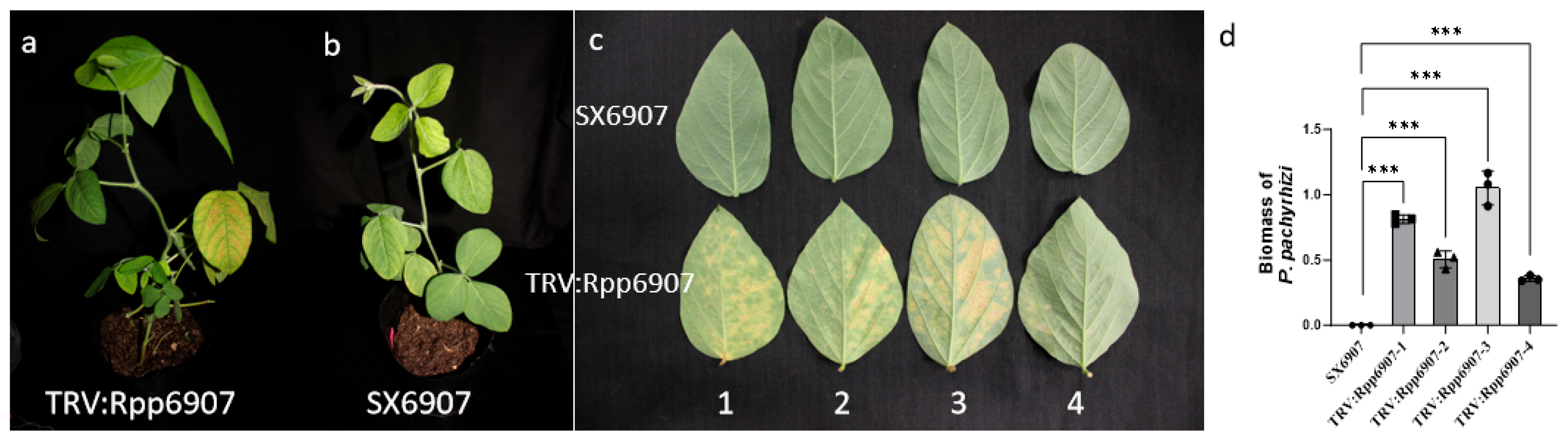 Plants 14 01547 g009