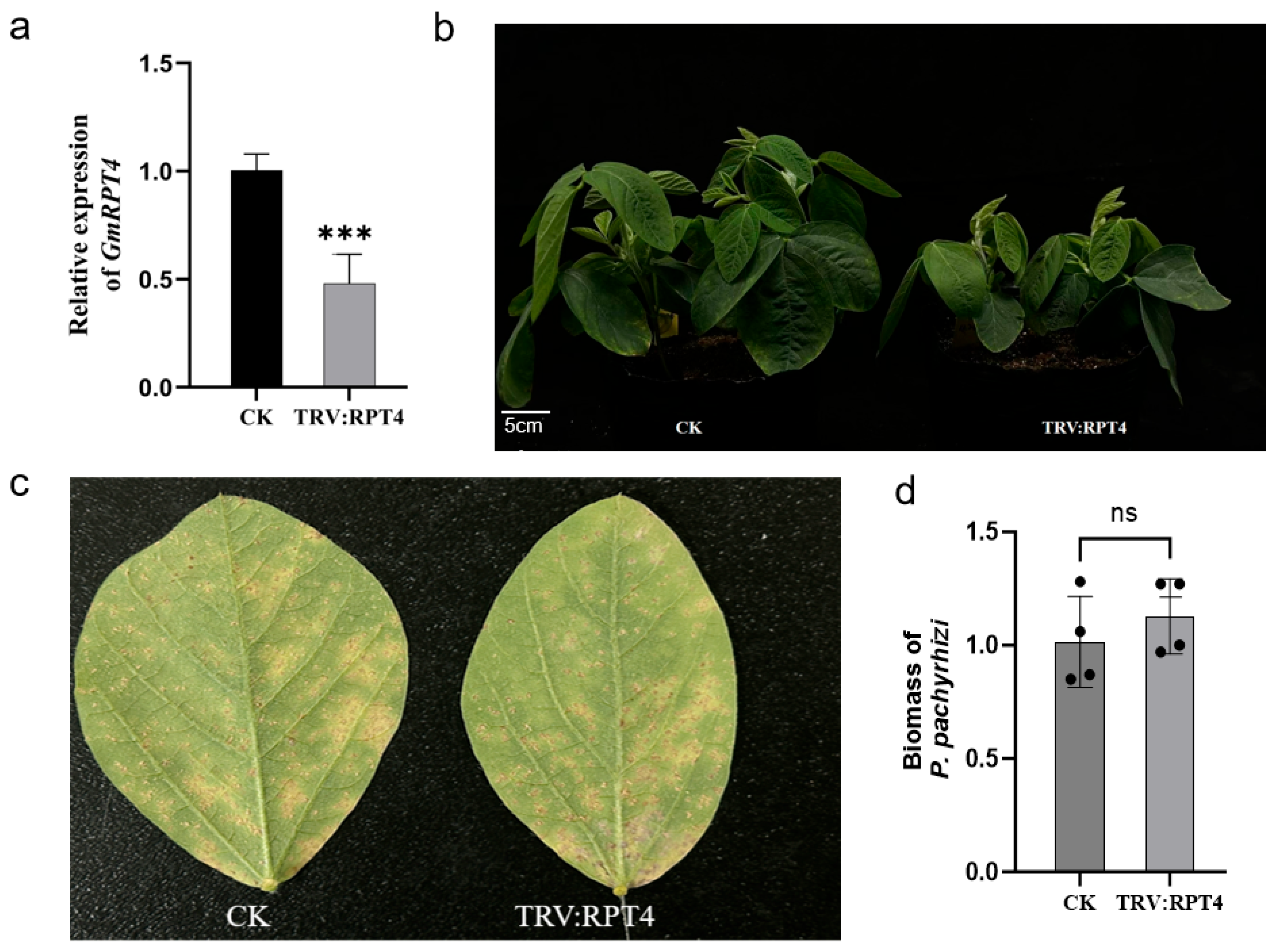 Plants 14 01547 g010