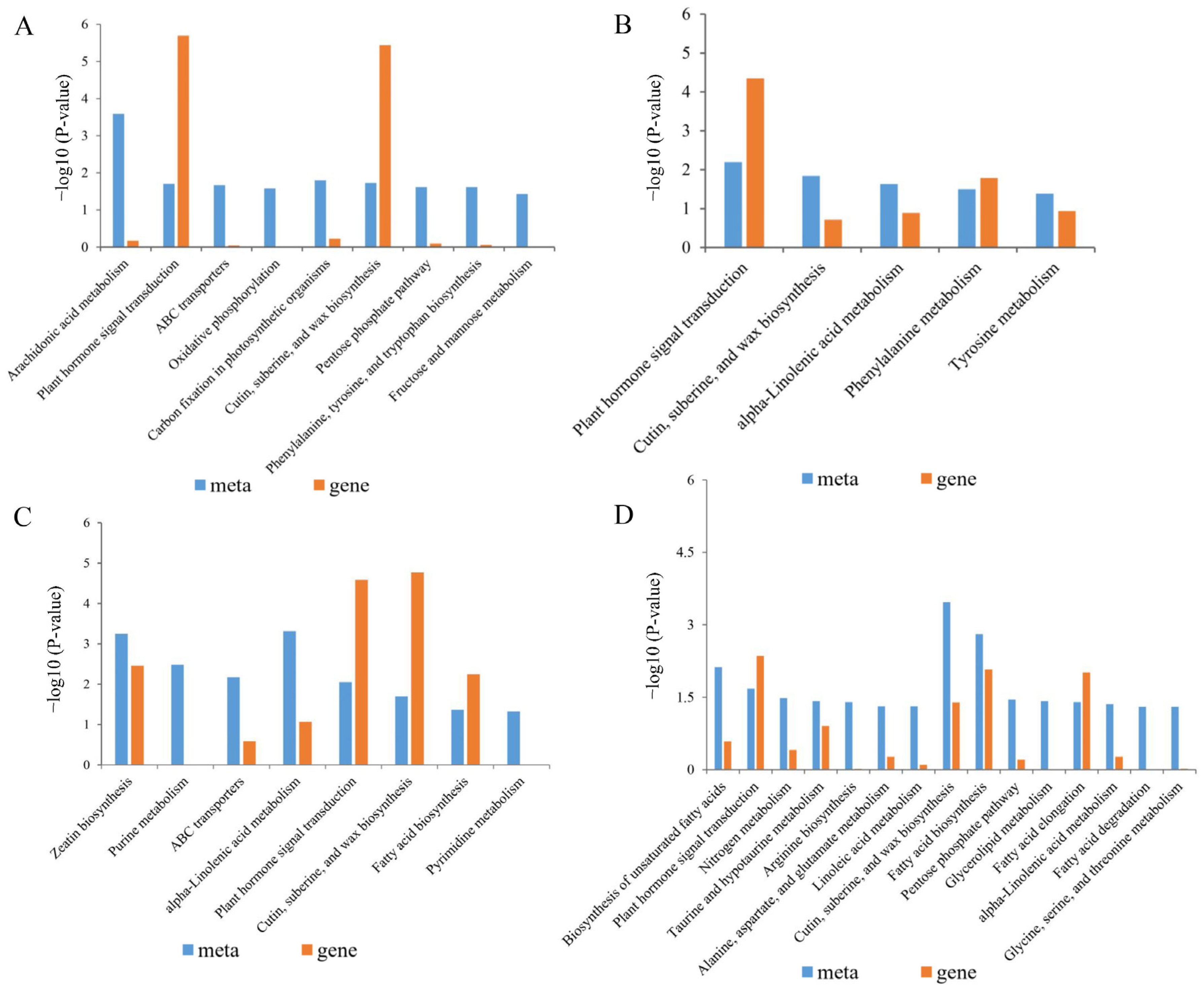 Plants 14 01555 g007