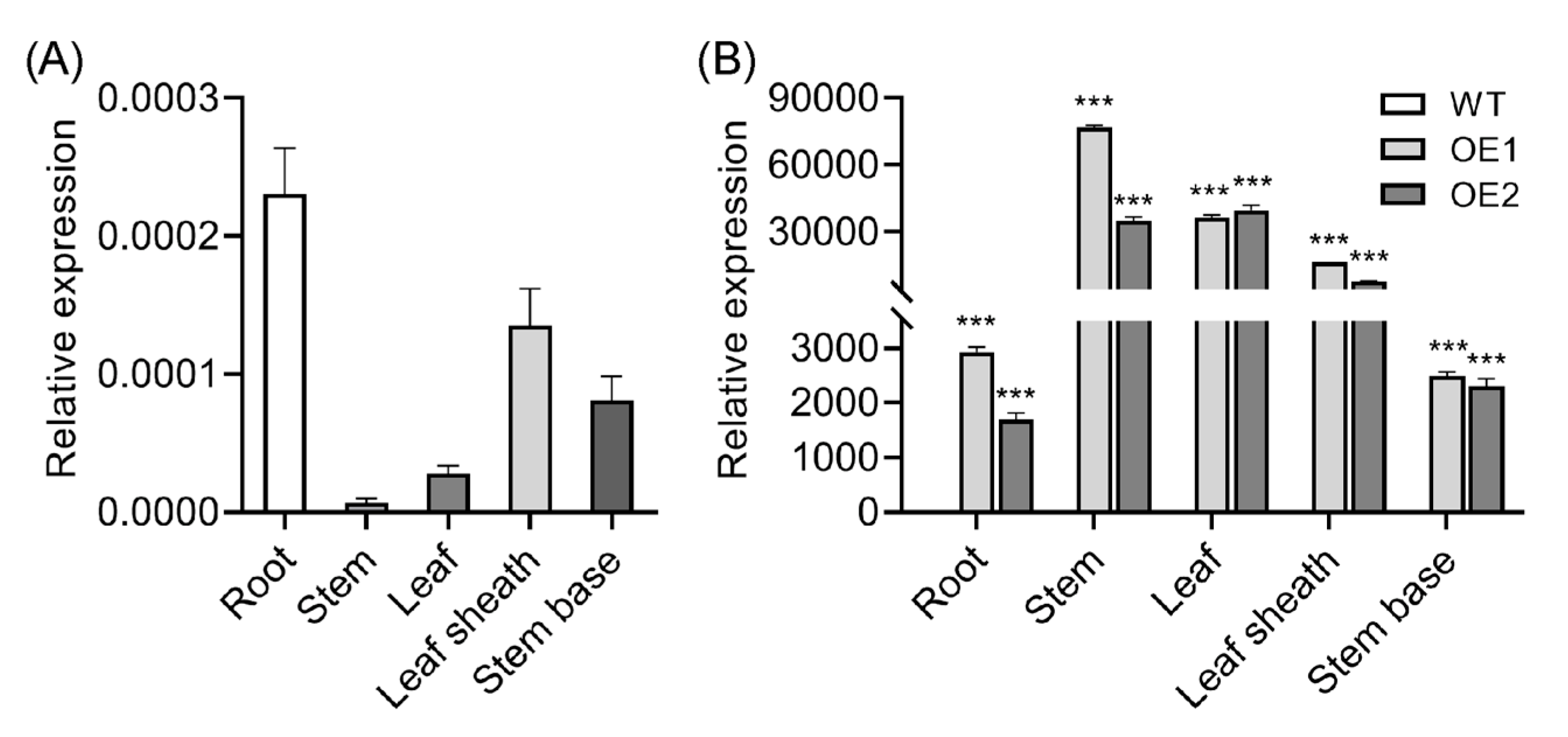 Plants 14 01557 g001