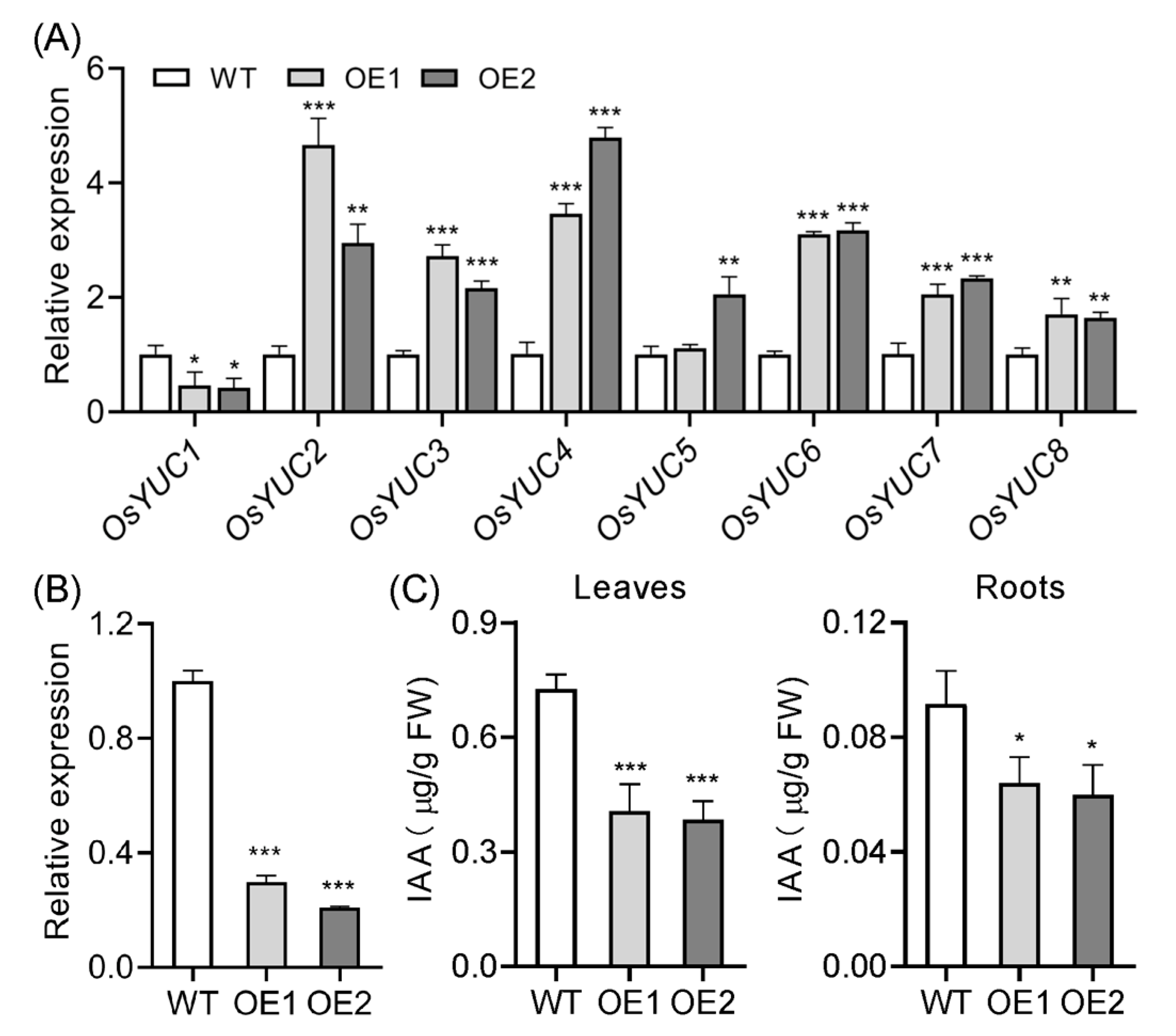 Plants 14 01557 g003