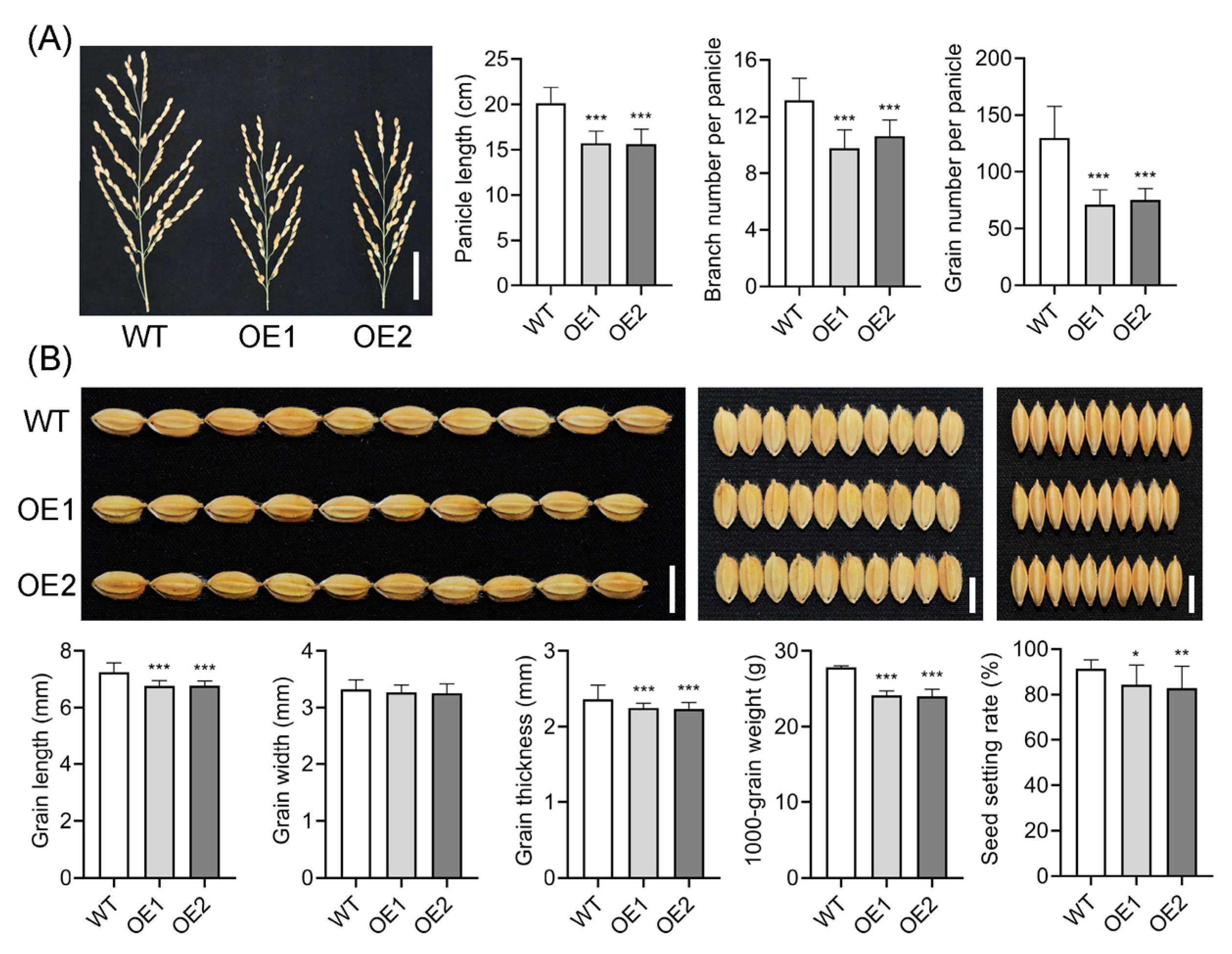 Plants 14 01557 g004