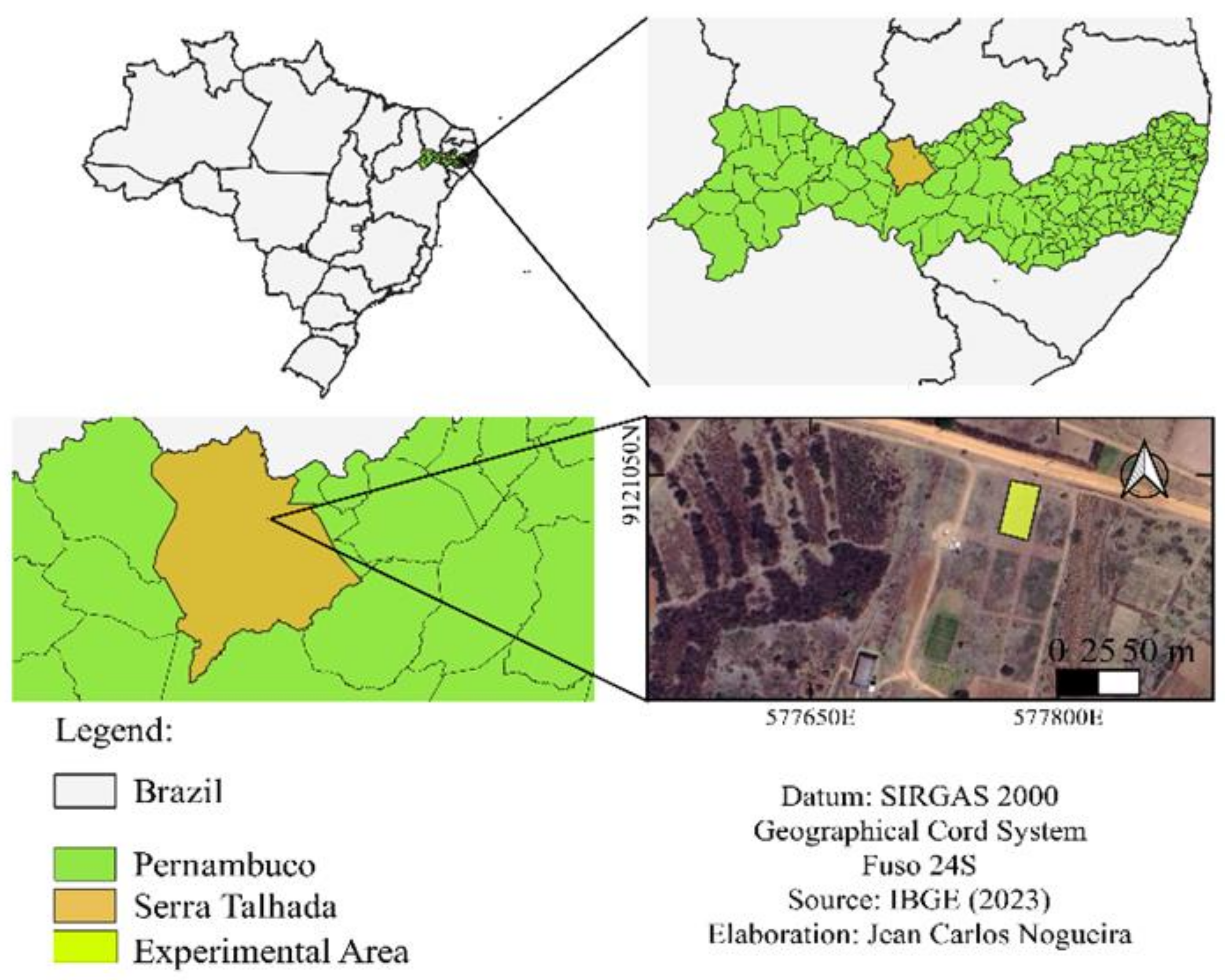 Plants 14 01559 g012
