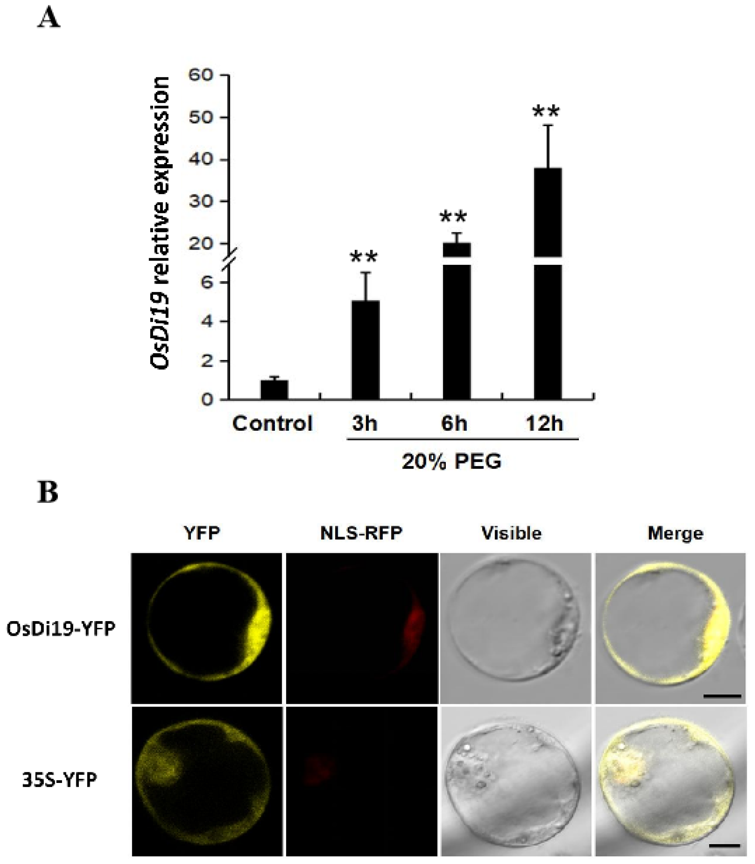 Plants 14 01560 g001