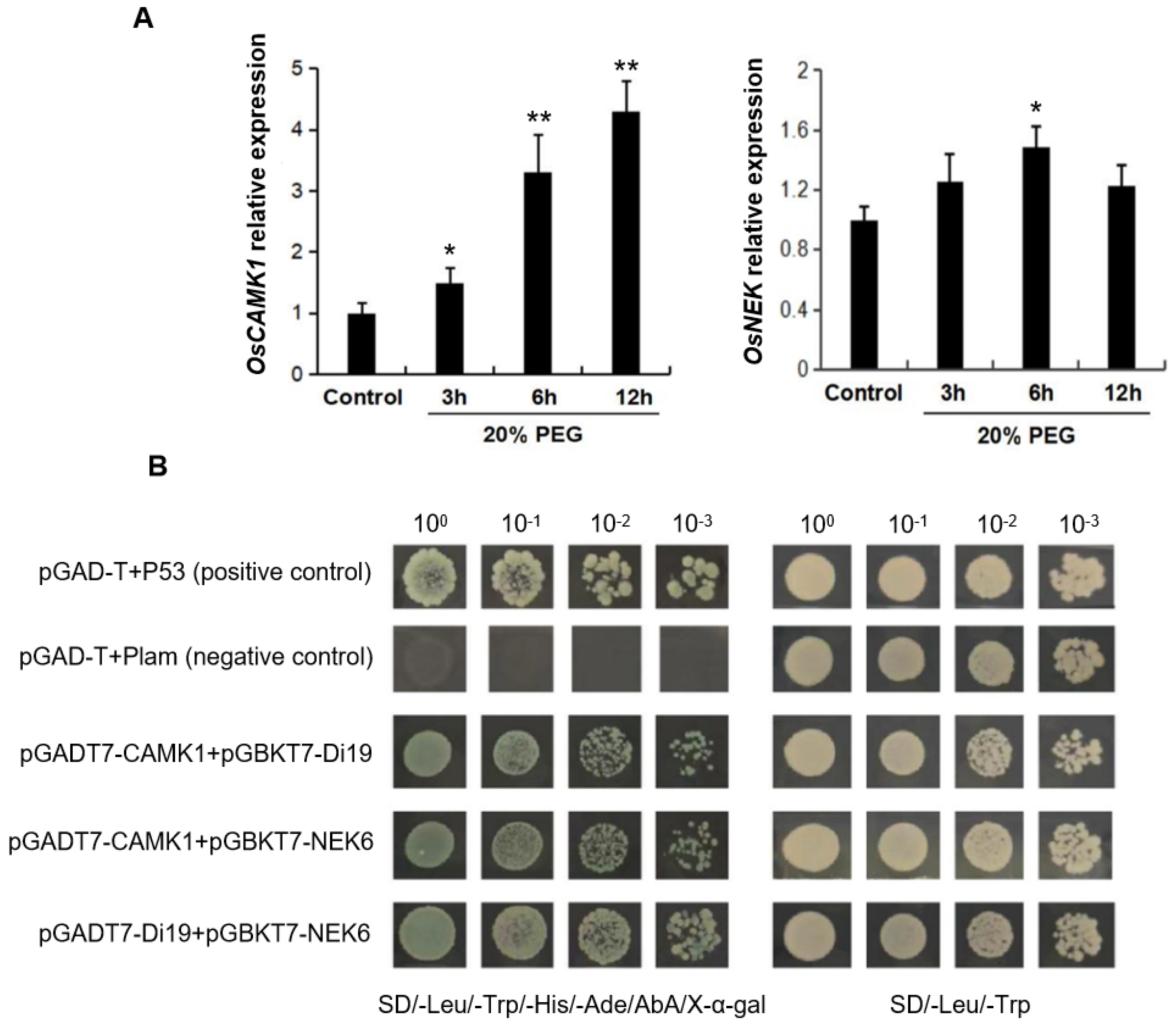 Plants 14 01560 g004