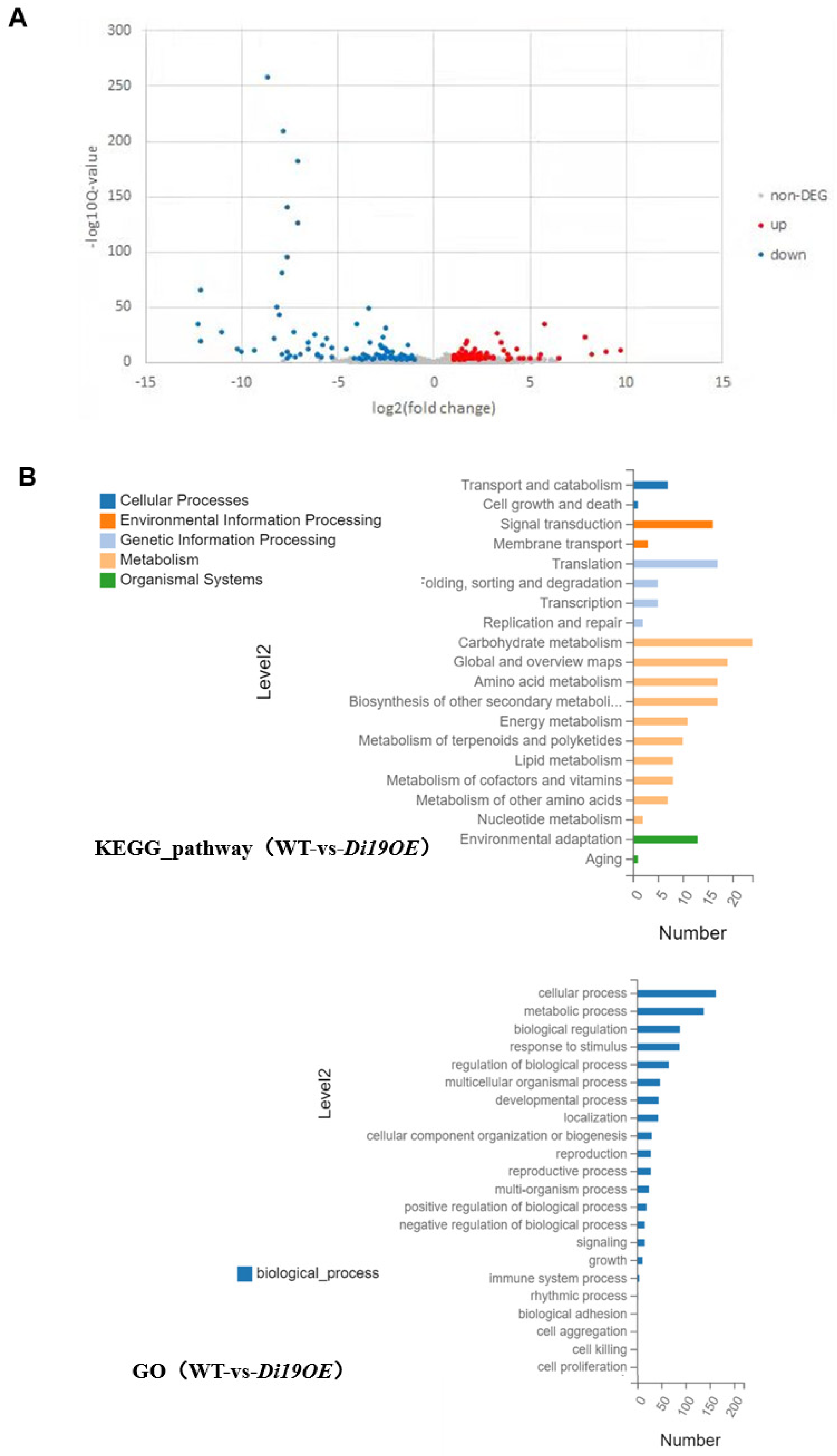 Plants 14 01560 g006