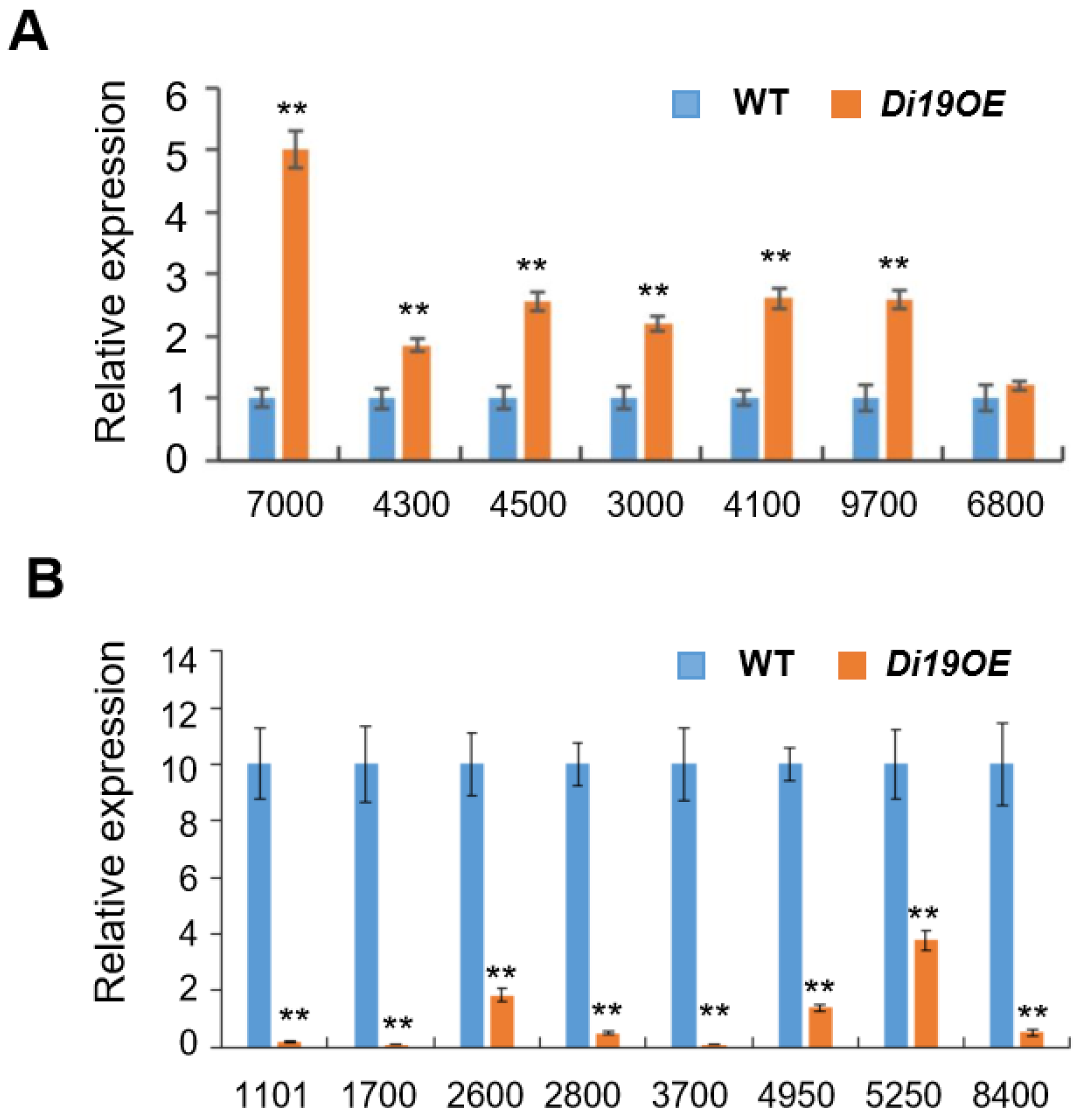 Plants 14 01560 g007