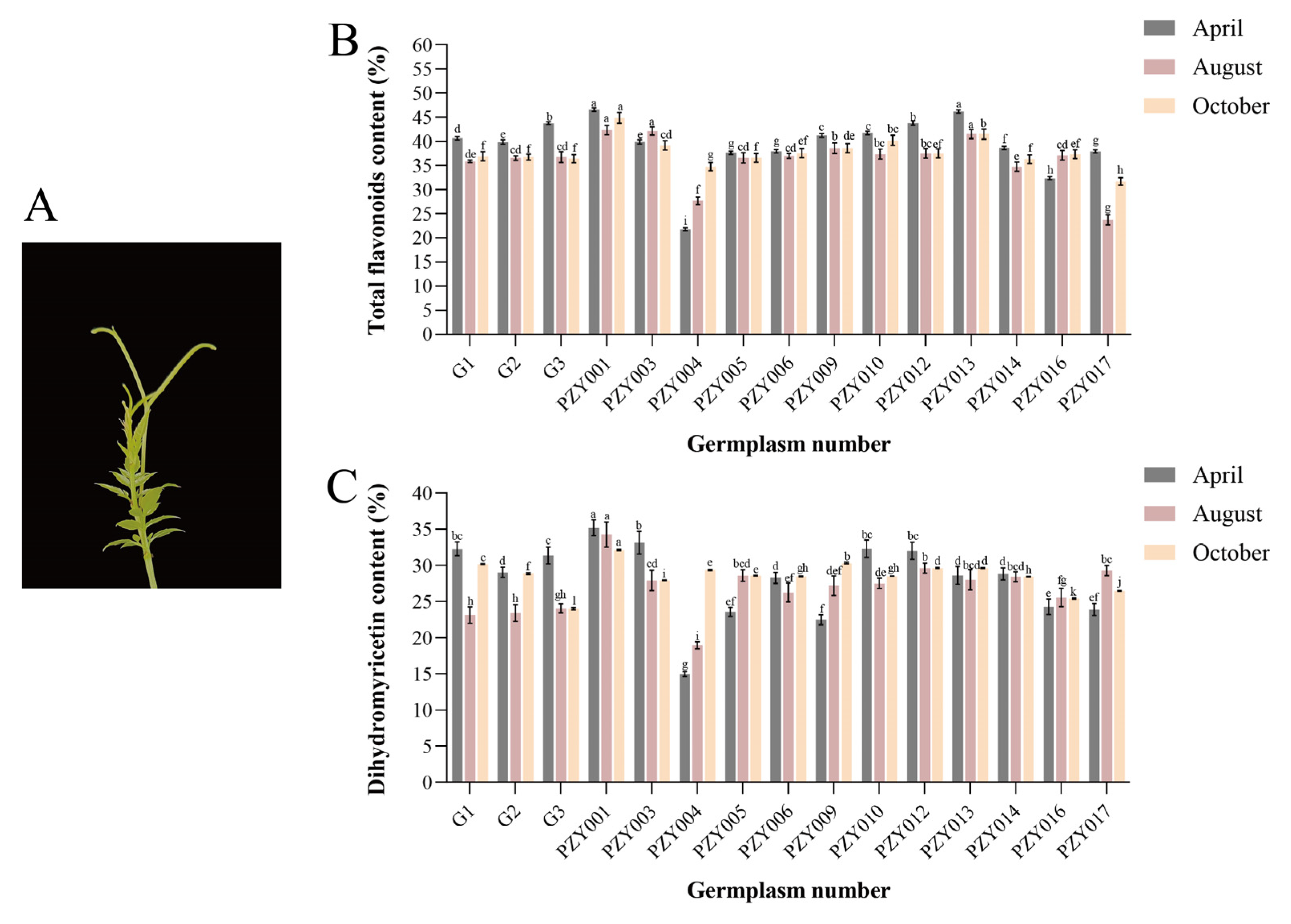 い Integrated Transcriptomic and Targeted Metabolomic Analyses