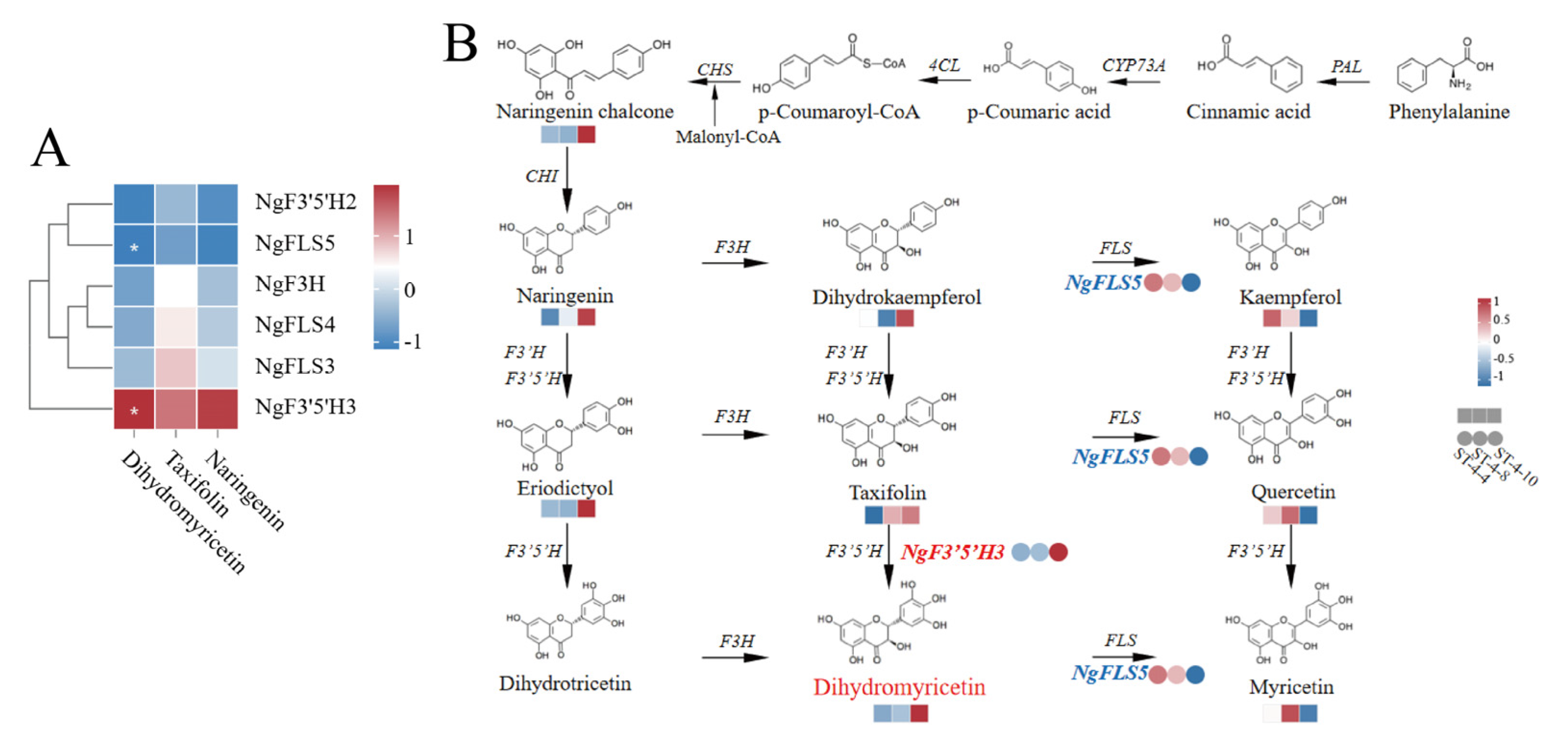 Plants 14 01561 g004