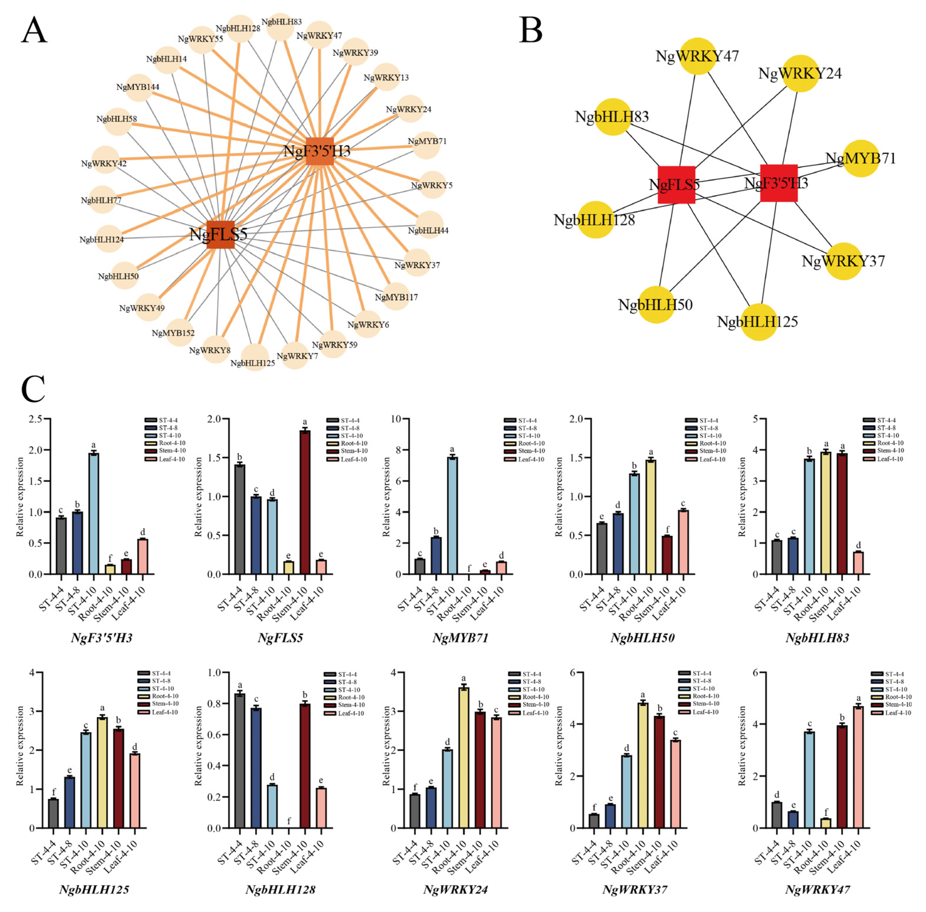 Plants 14 01561 g005
