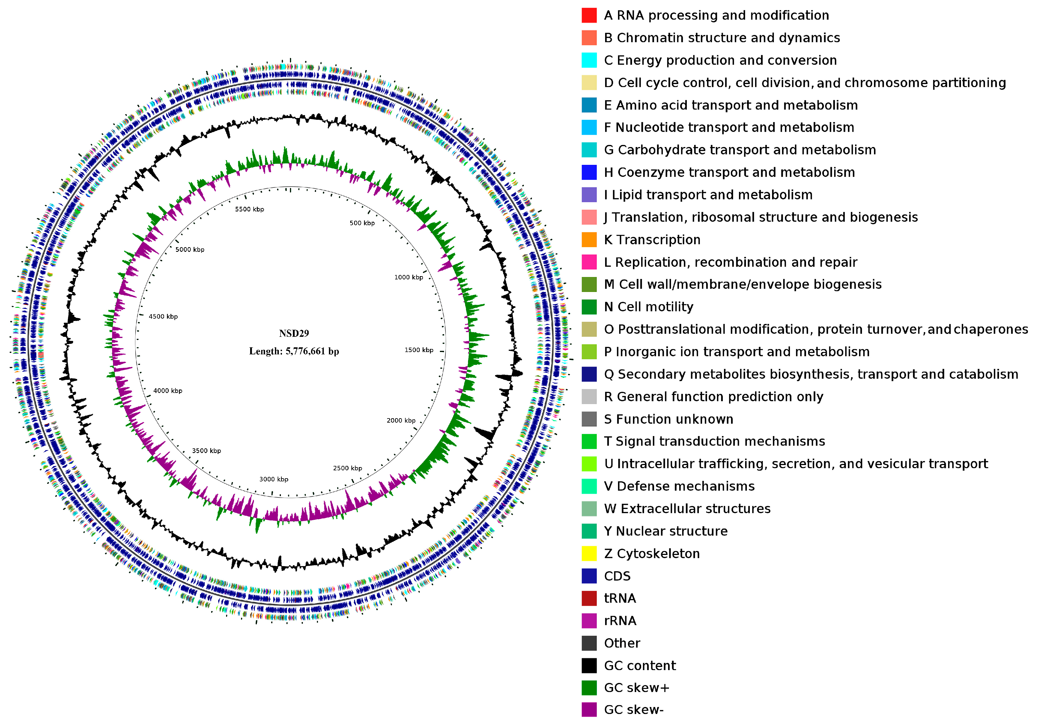 Plants 14 01564 g003
