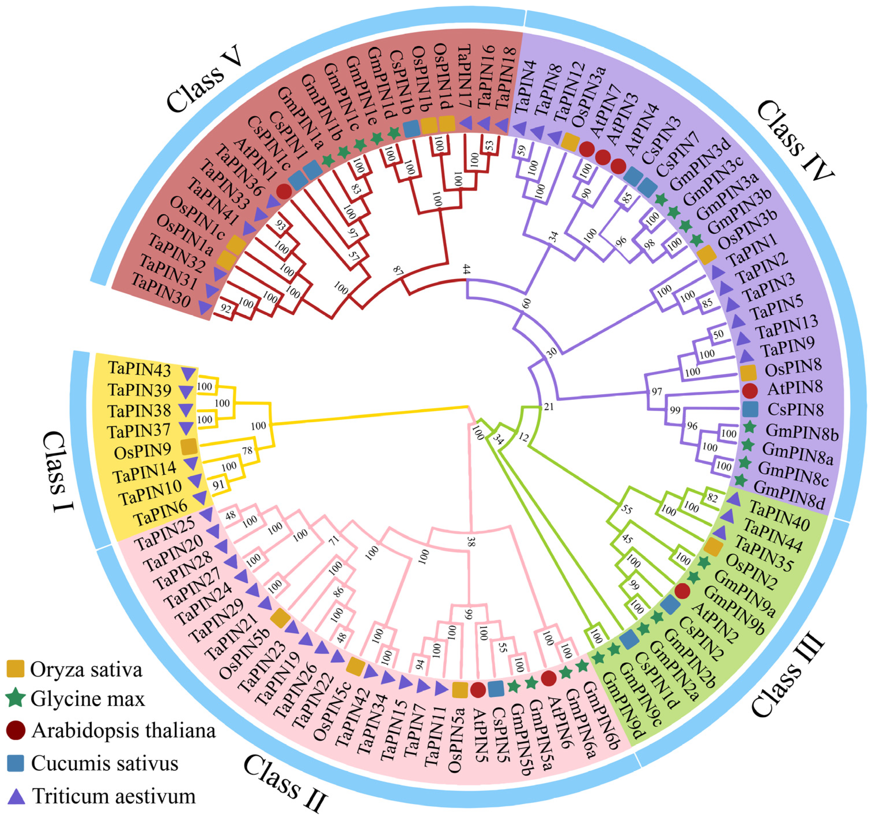Plants 14 01566 g001