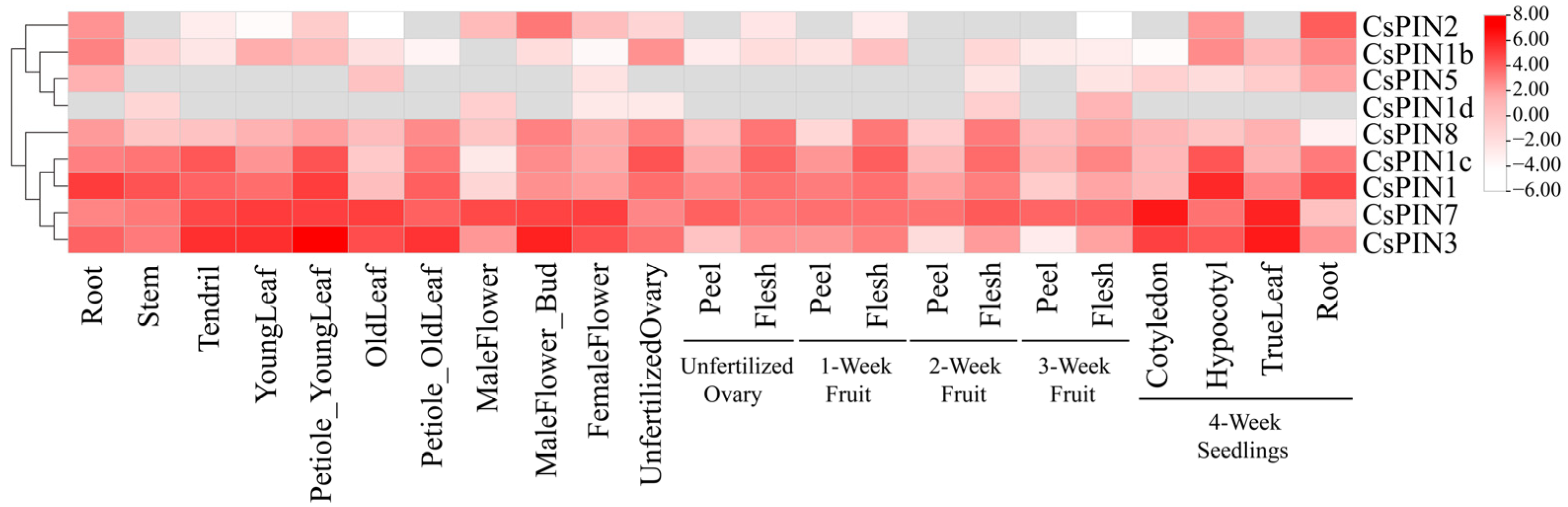 Plants 14 01566 g006