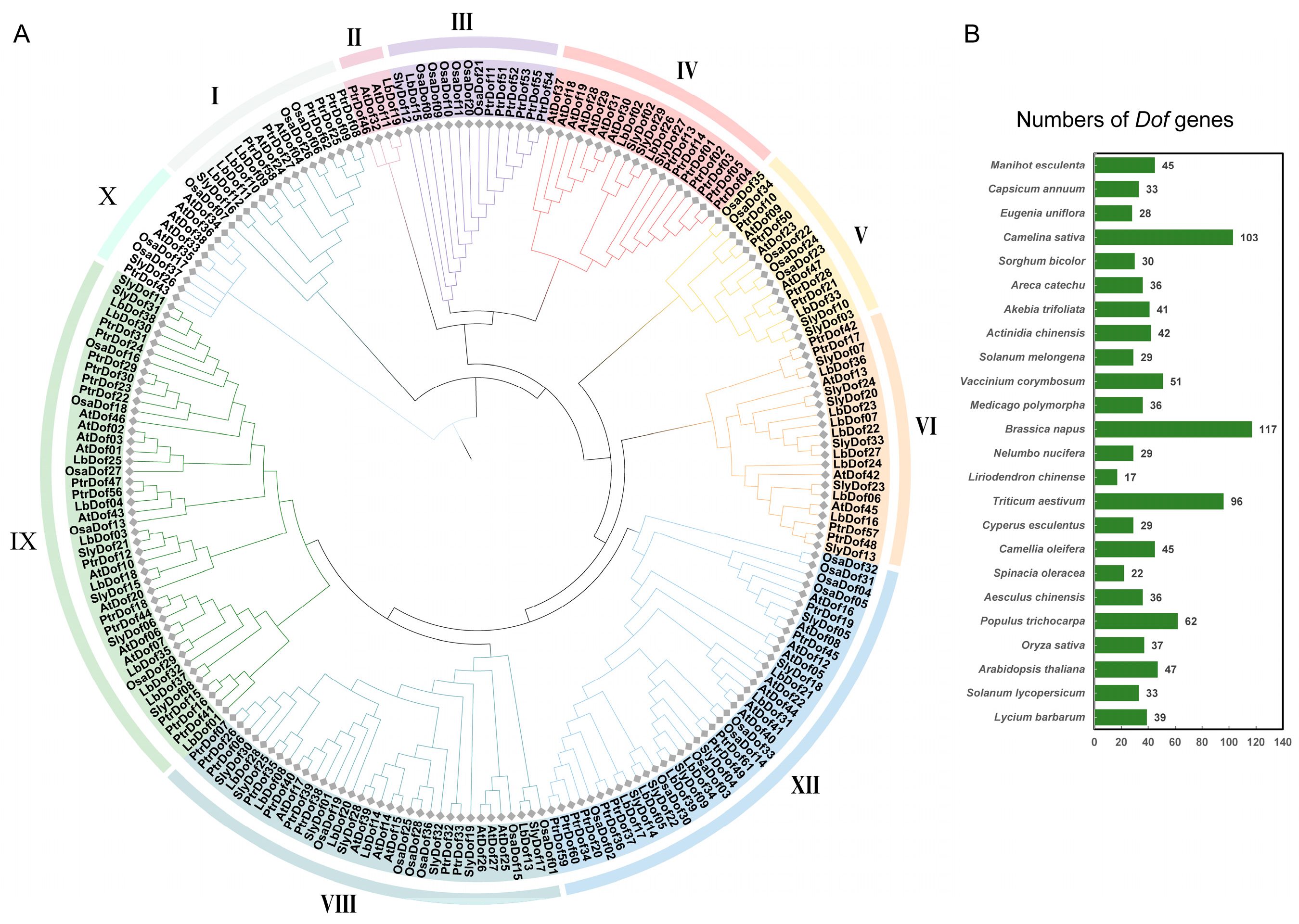 Plants 14 01567 g001 Plants 14 01567 g001