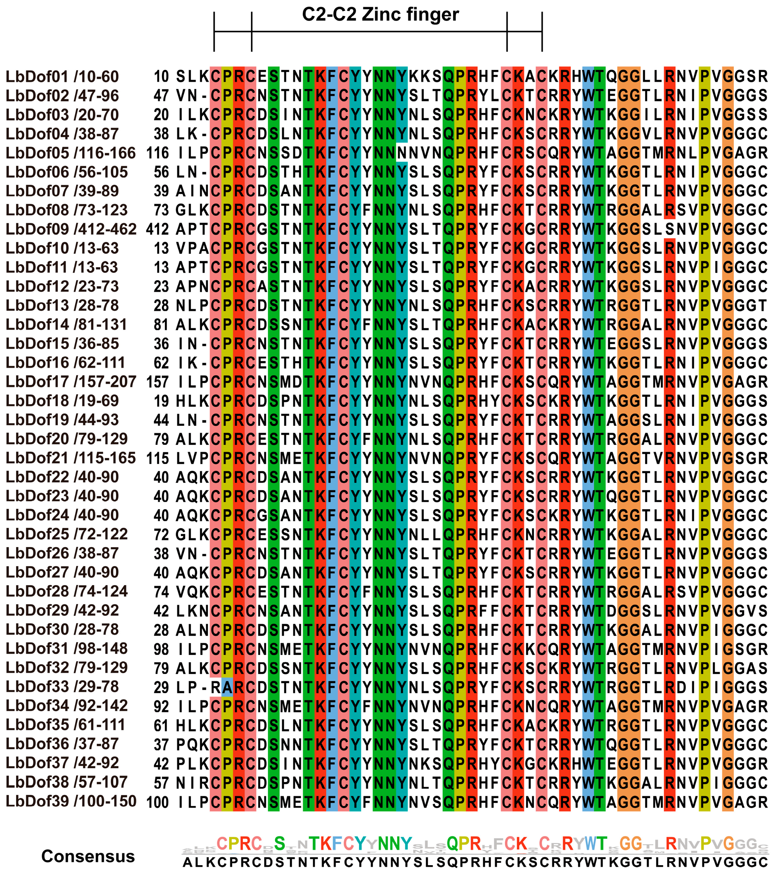 Plants 14 01567 g002 Plants 14 01567 g002