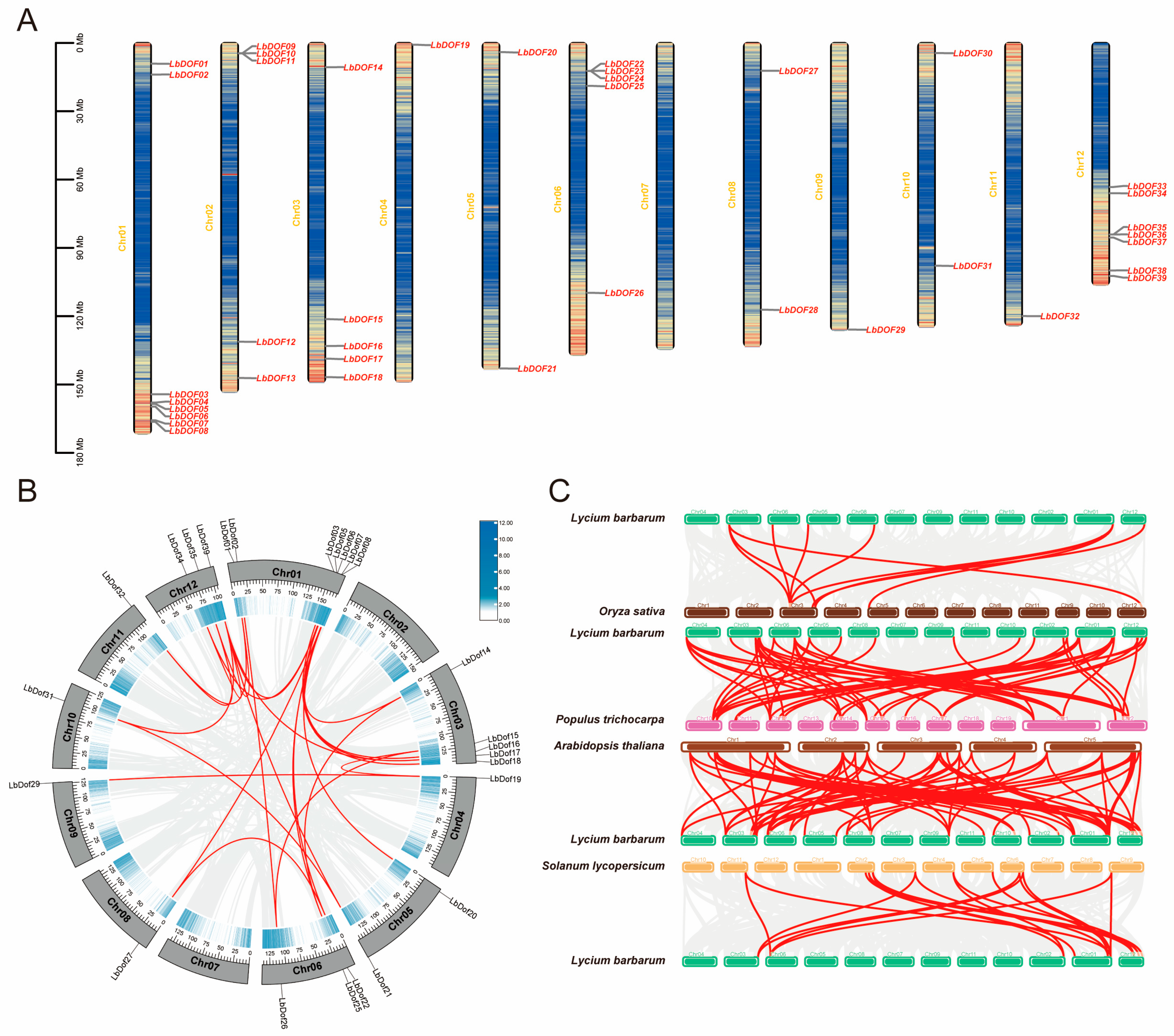 Plants 14 01567 g003 Plants 14 01567 g003