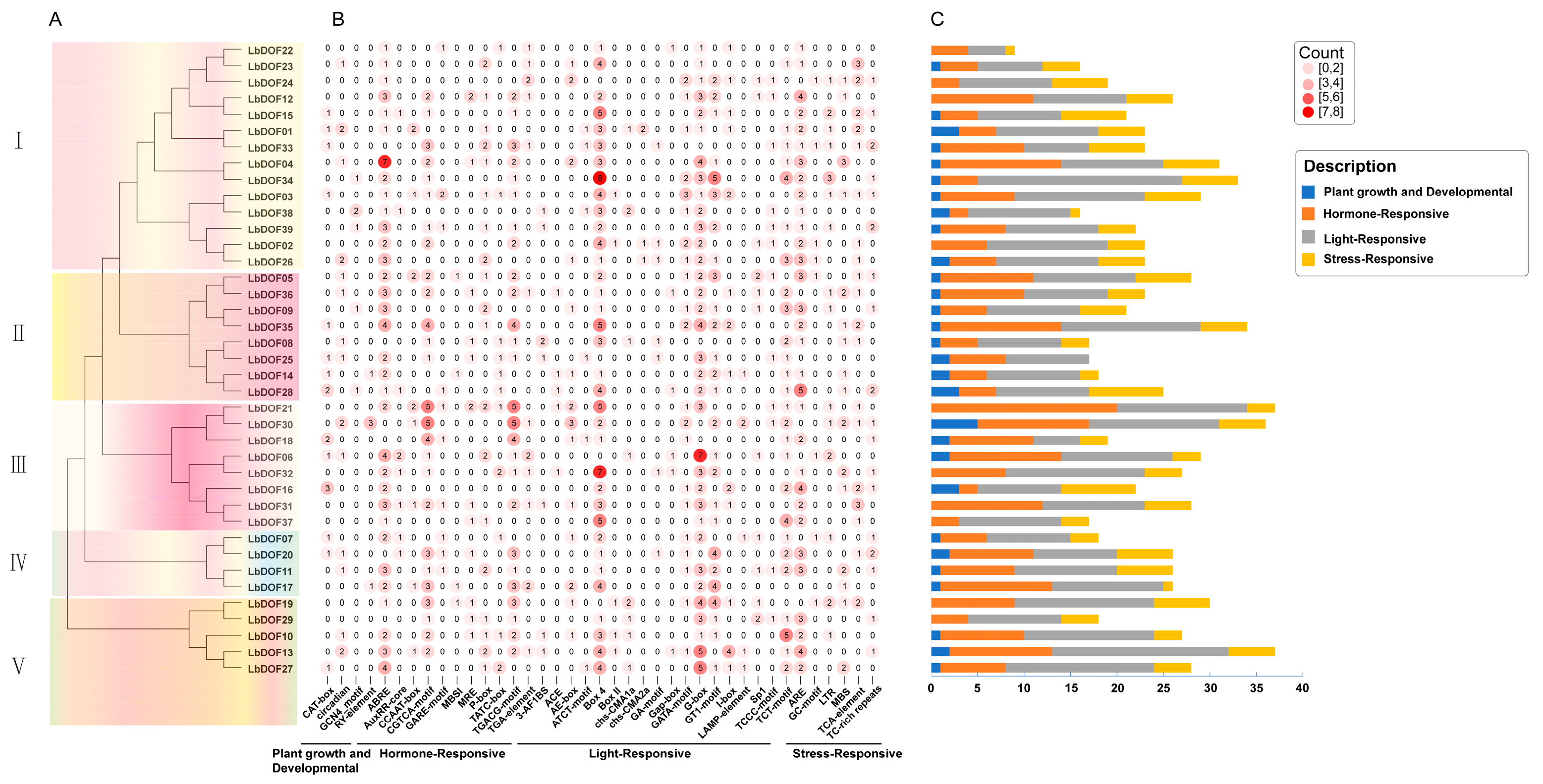 Plants 14 01567 g005 Plants 14 01567 g005