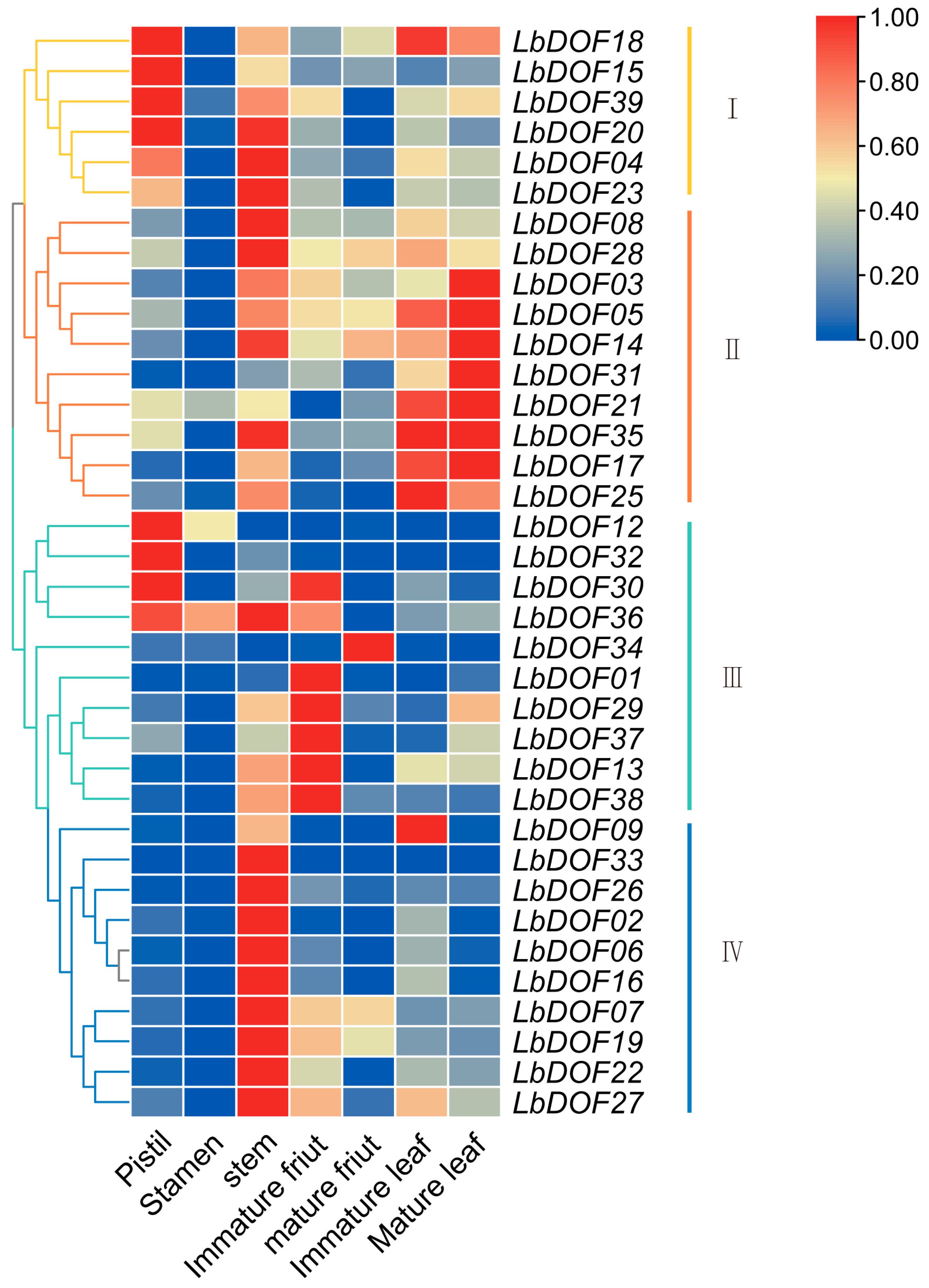 Plants 14 01567 g007 Plants 14 01567 g007