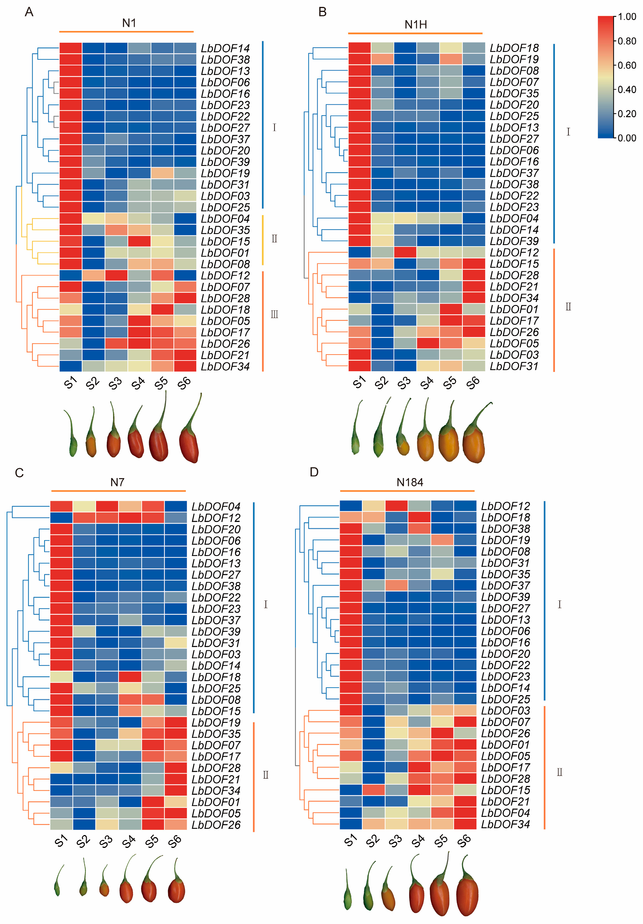 Plants 14 01567 g009 Plants 14 01567 g009