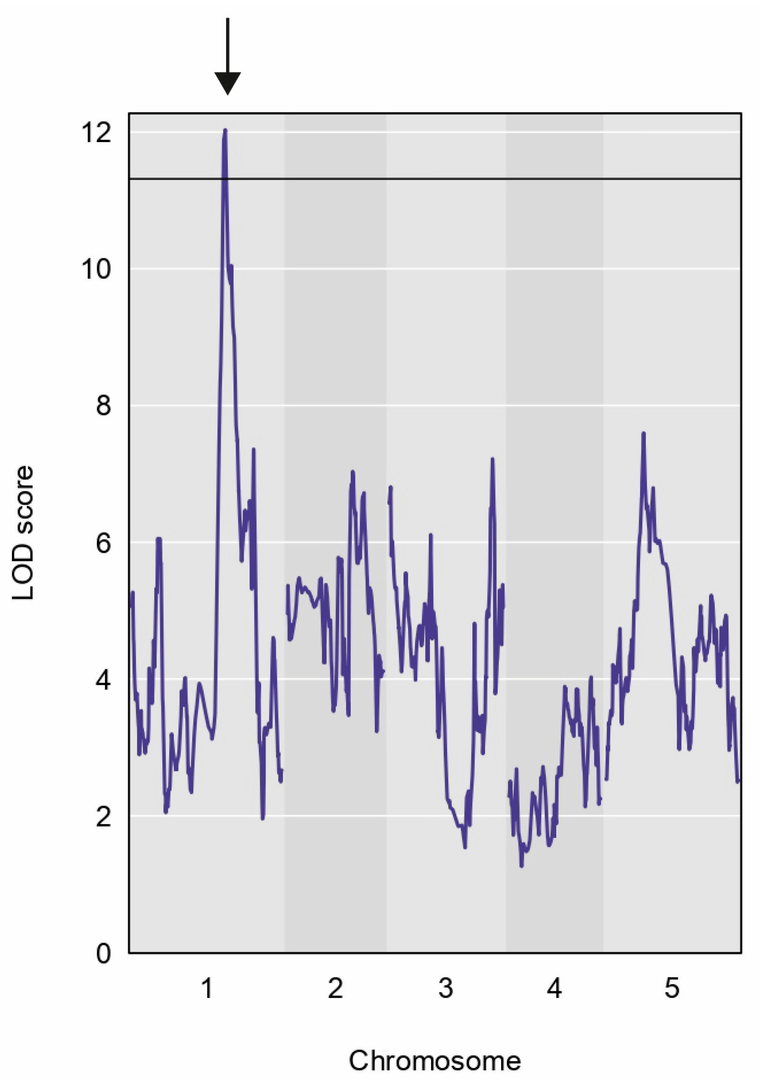 Plants 14 01574 g003