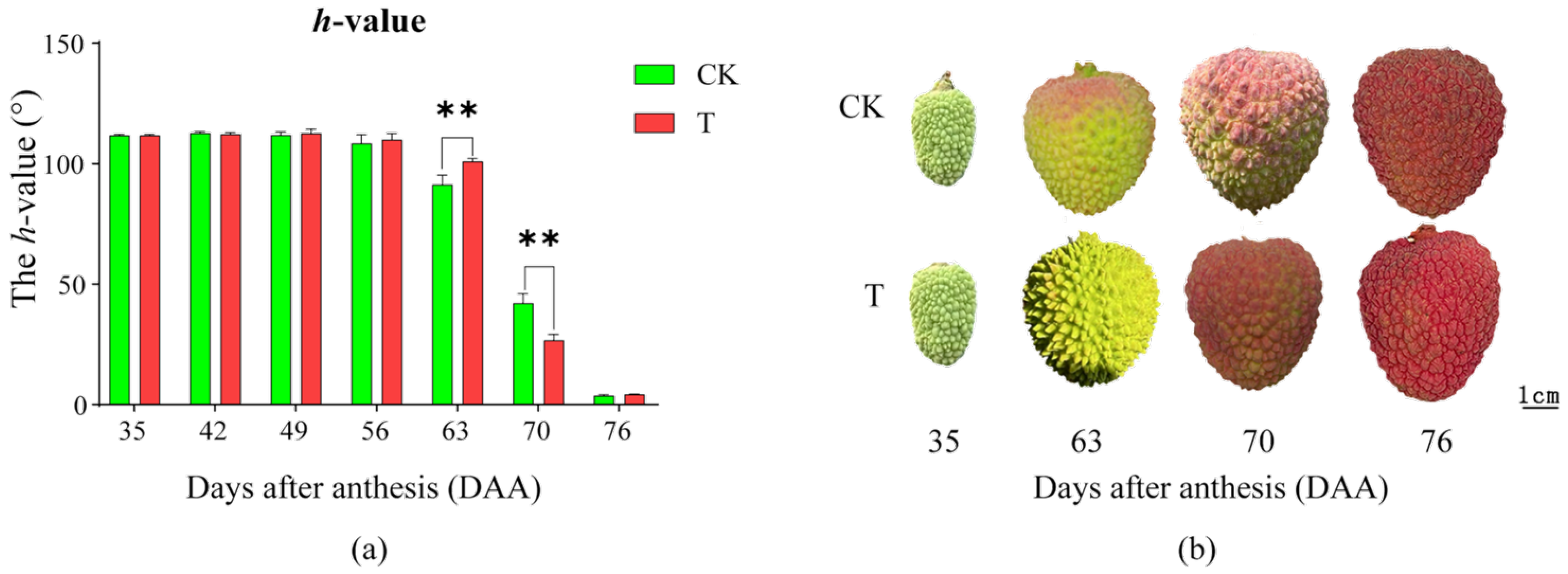 Plants 14 01583 g001