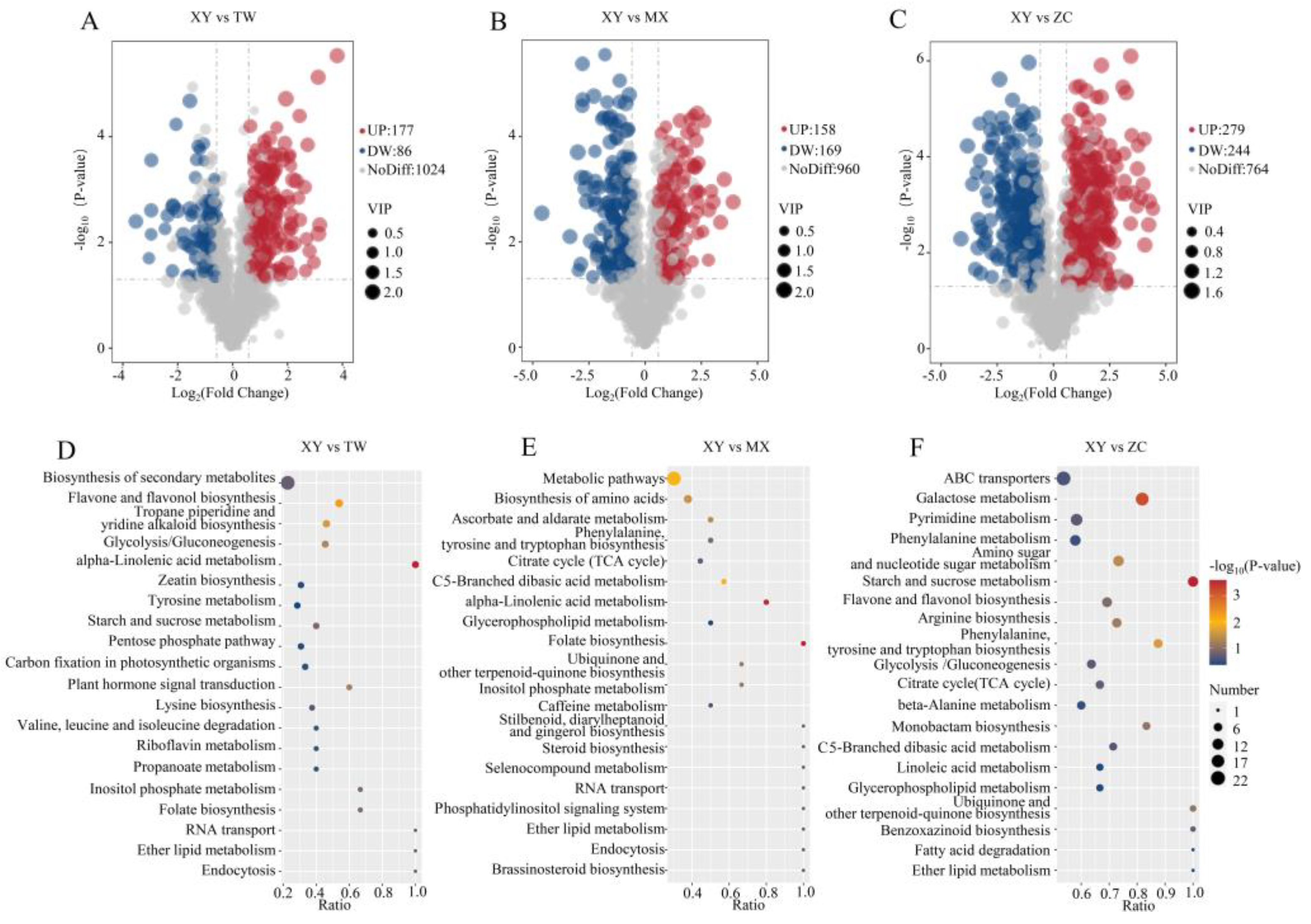 Plants 14 01585 g005