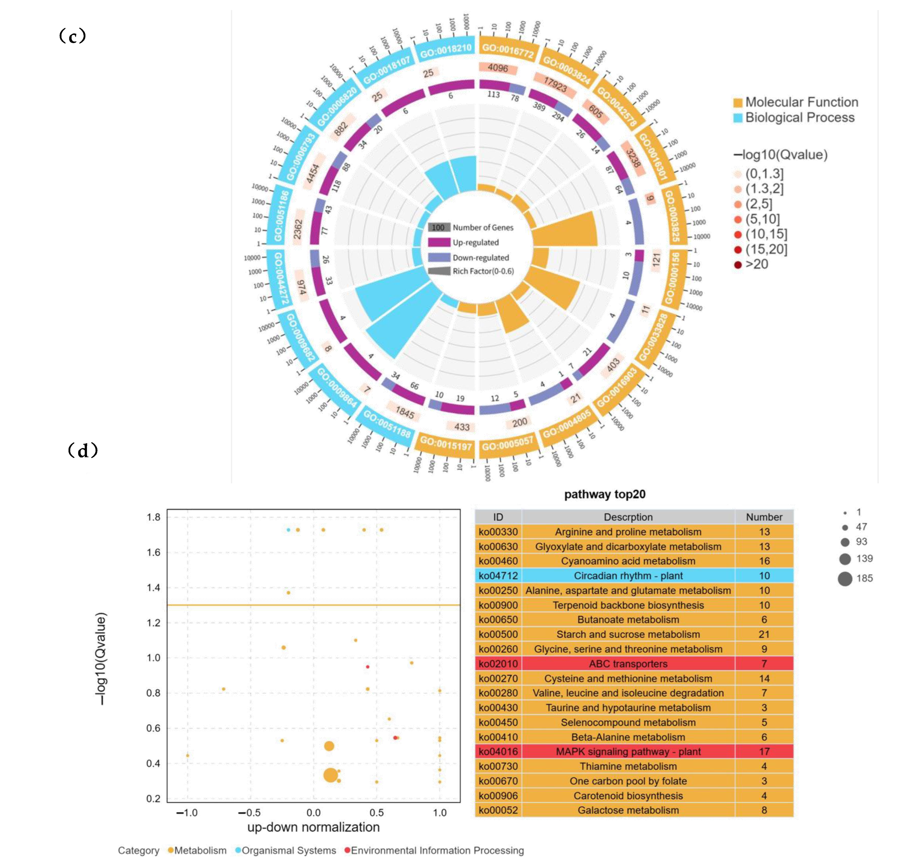 Plants 14 01588 g003b