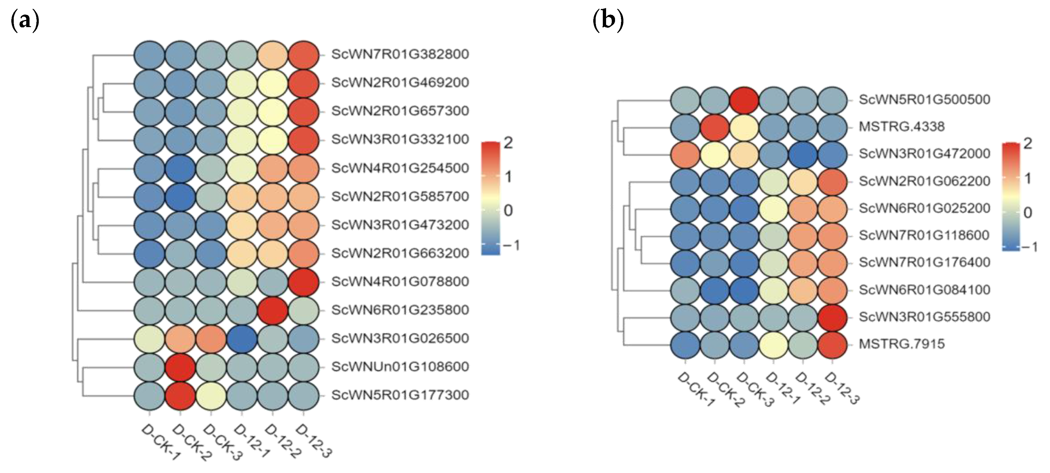 Plants 14 01588 g004